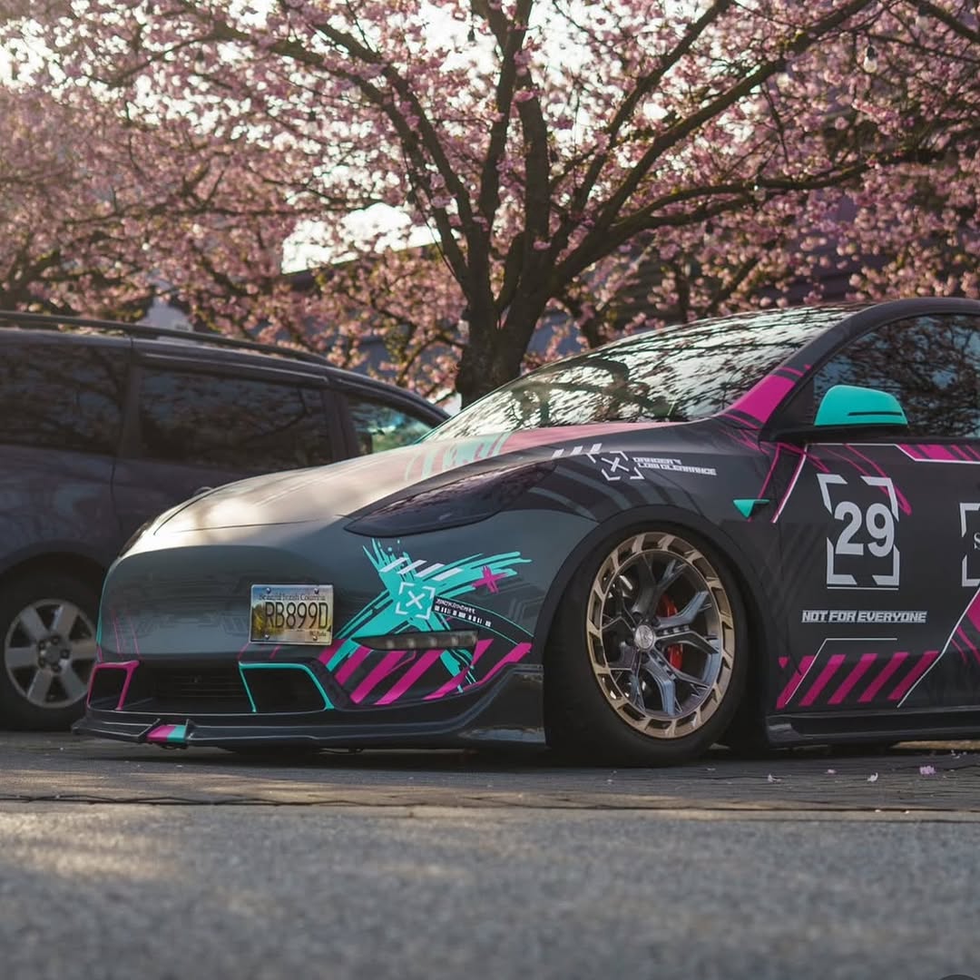 前端frIDAy

🚗🚗0⟫ 
BC
📸 @theblac@theblackstaffe @teslaclubofamerica