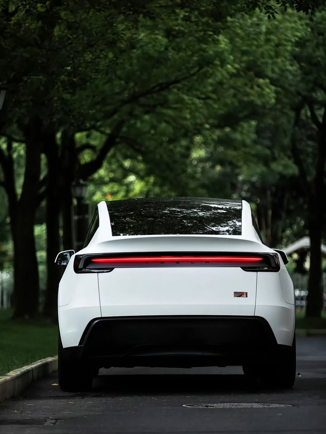 新的特斯拉Model Y 📸:张可明同学 #Tesla #ModelY $tsla #china #luxembourg @teslaclubofamerica @teslamore @teslamotors @drivegreen_livegreen