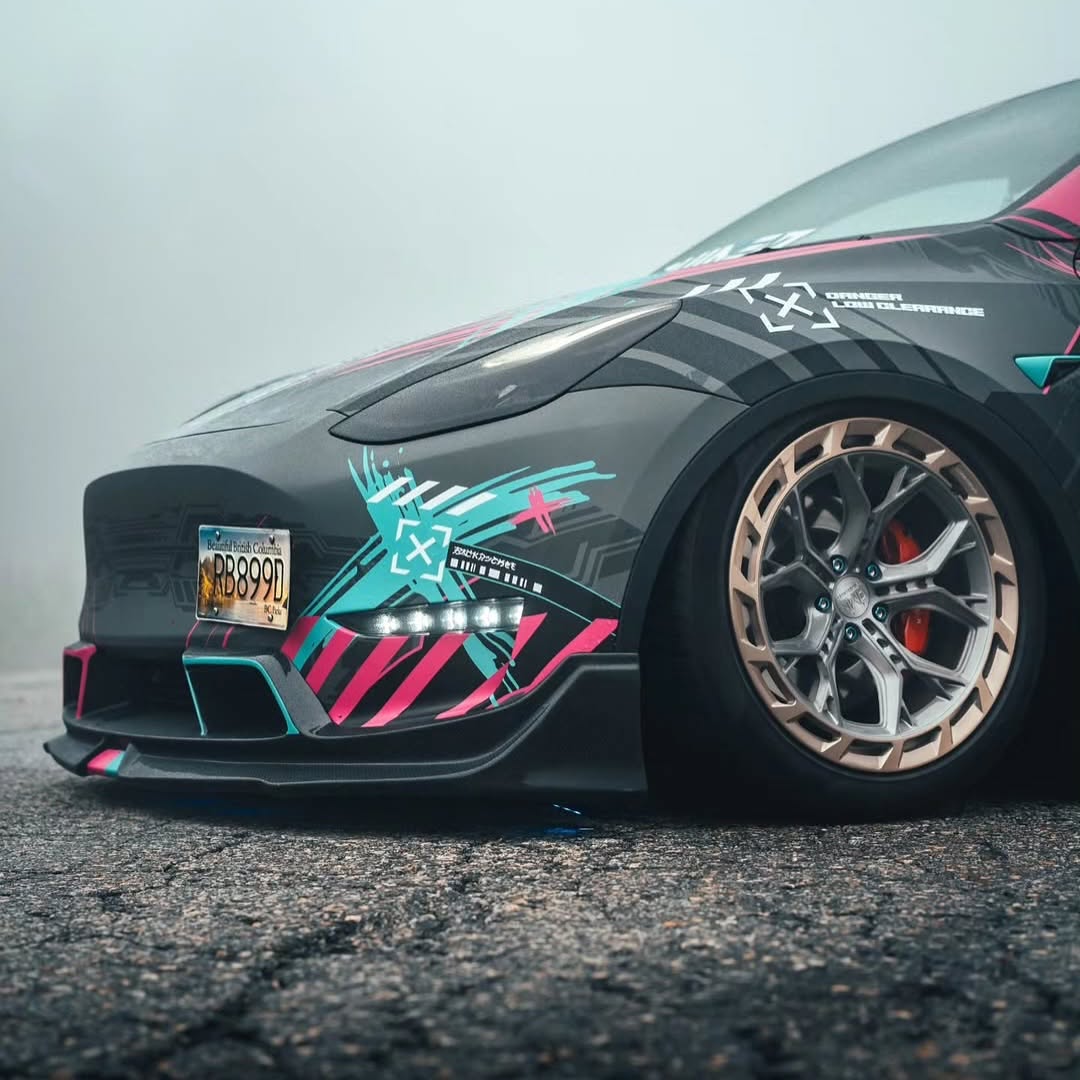 烟花后的景象 🚗 @theblackstaffe @spaceman.y 🏡 BC @teslaclubofamerica