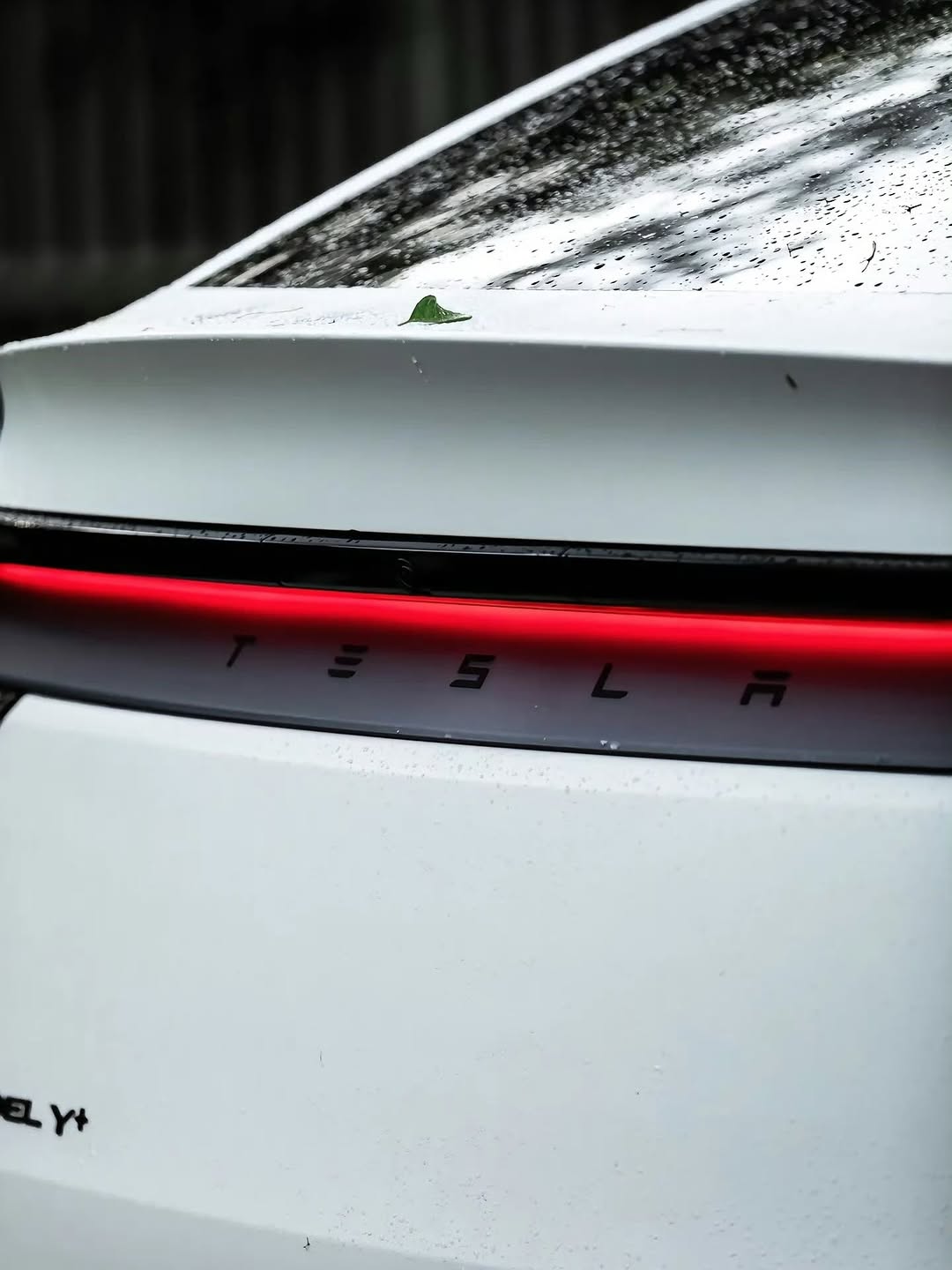 新的特斯拉Model Y 📸:张可明同学 #Tesla #ModelY $tsla #china #luxembourg @teslaclubofamerica @teslamore @teslamotors @drivegreen_livegreen