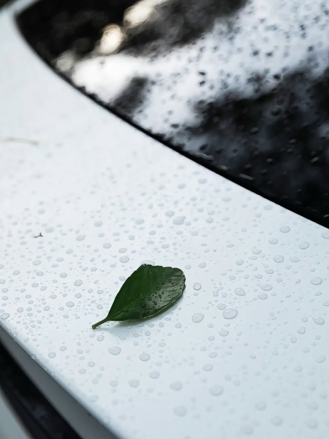 新的特斯拉Model Y 📸:张可明同学 #Tesla #ModelY $tsla #china #luxembourg @teslaclubofamerica @teslamore @teslamotors @drivegreen_livegreen