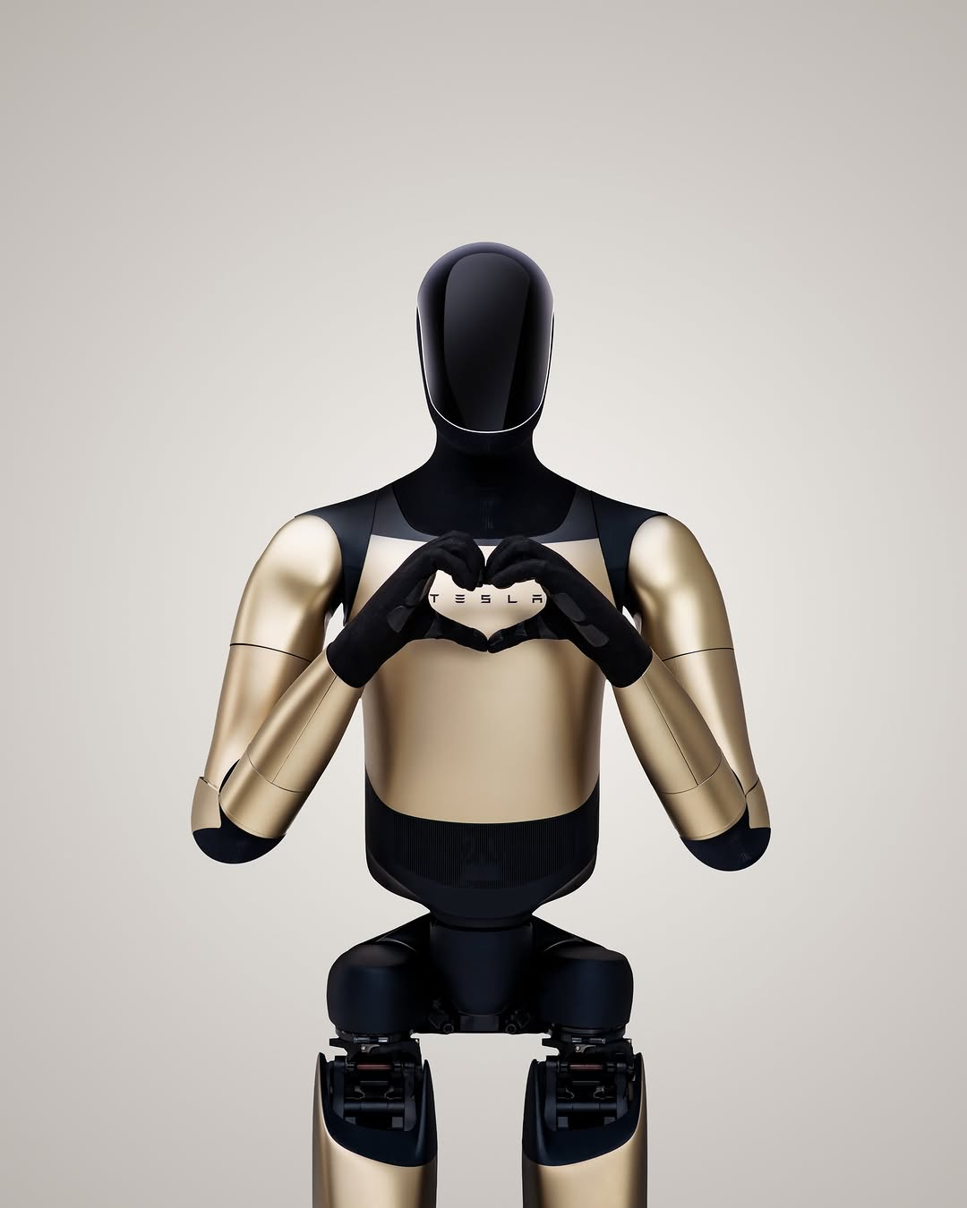 爱，生命与机器人 🫶 @teslamotors