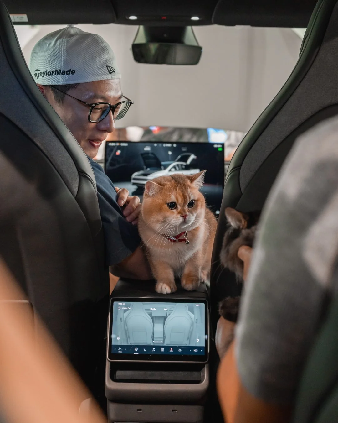 猫也喜欢特斯拉！ 宠物模式在汽车锁上时仍保持空调运行，让您的宠物保持舒适和安全。 @teslamotorsmys
