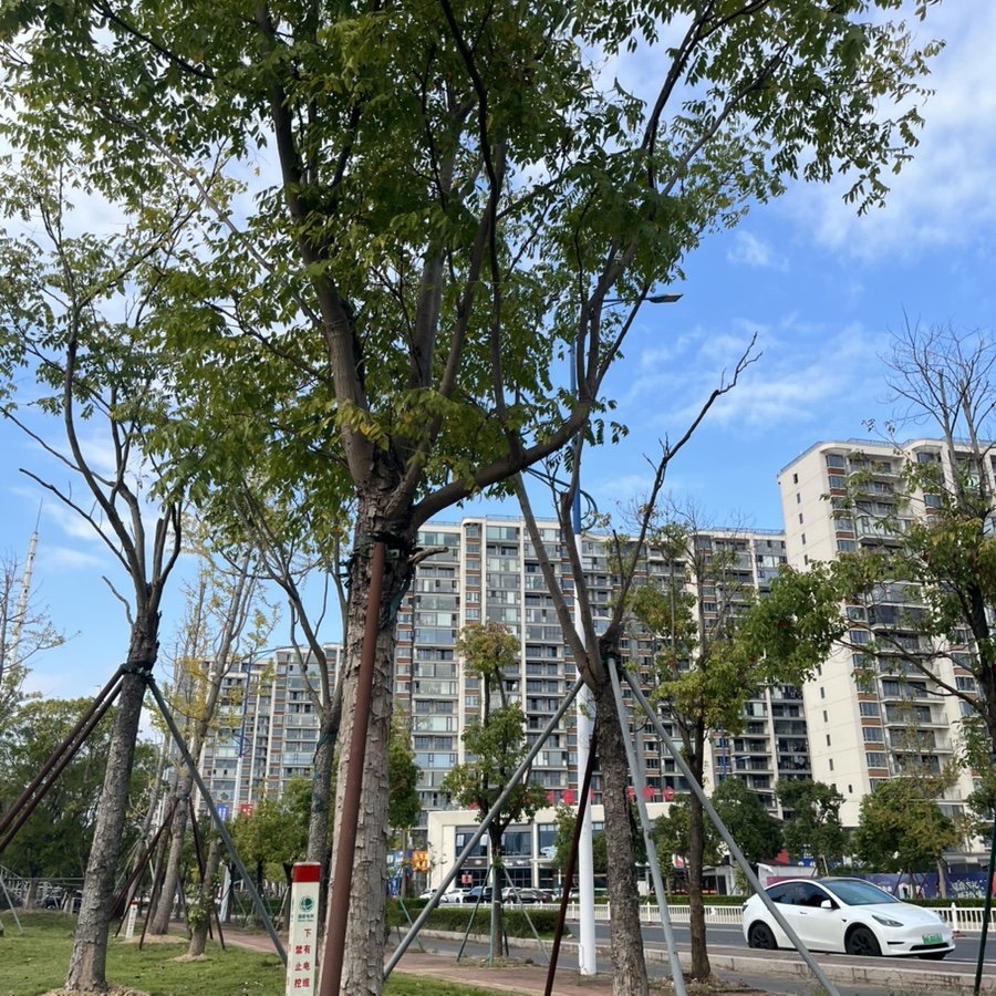 下午茶时光