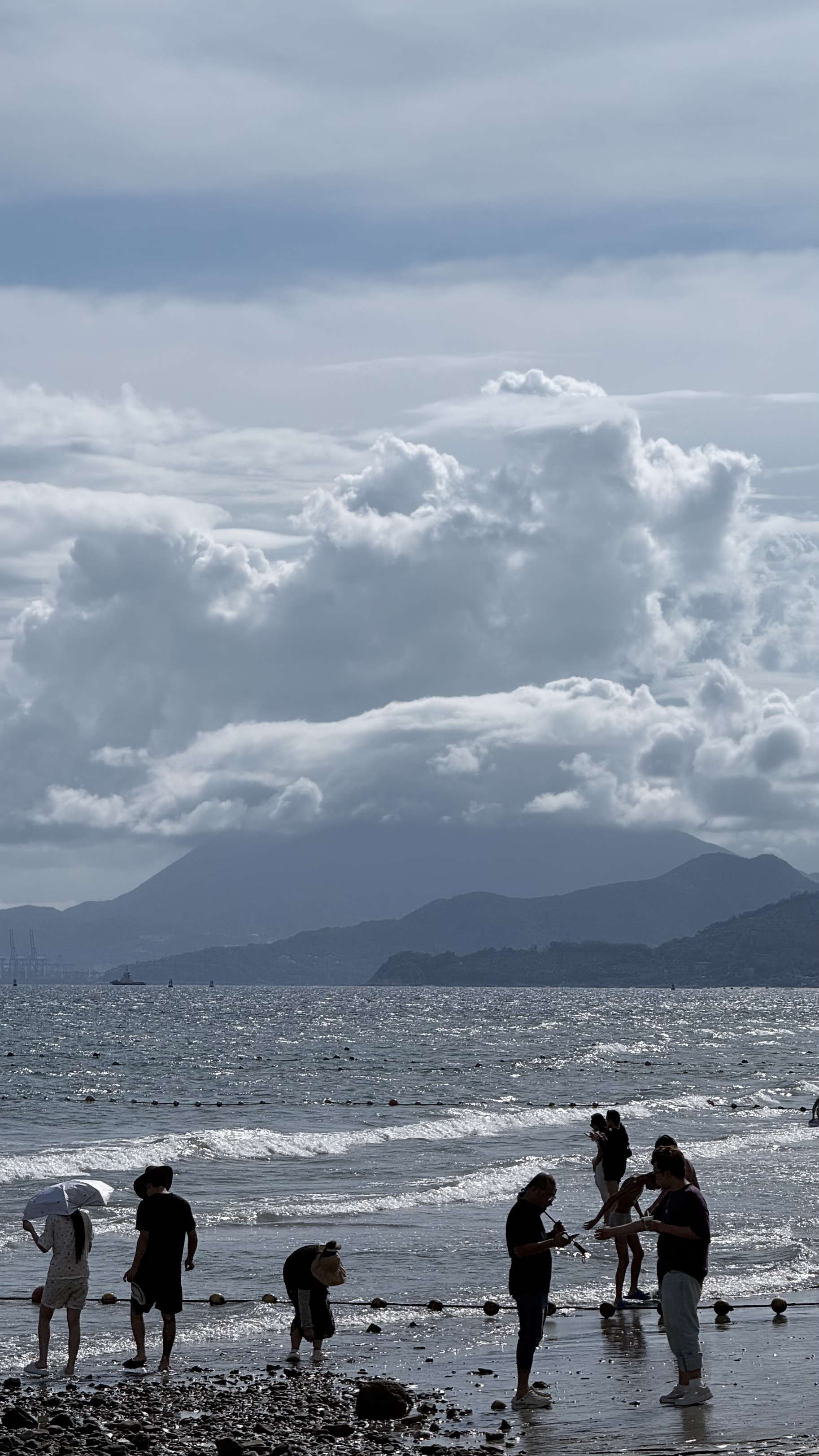 大鹏的海