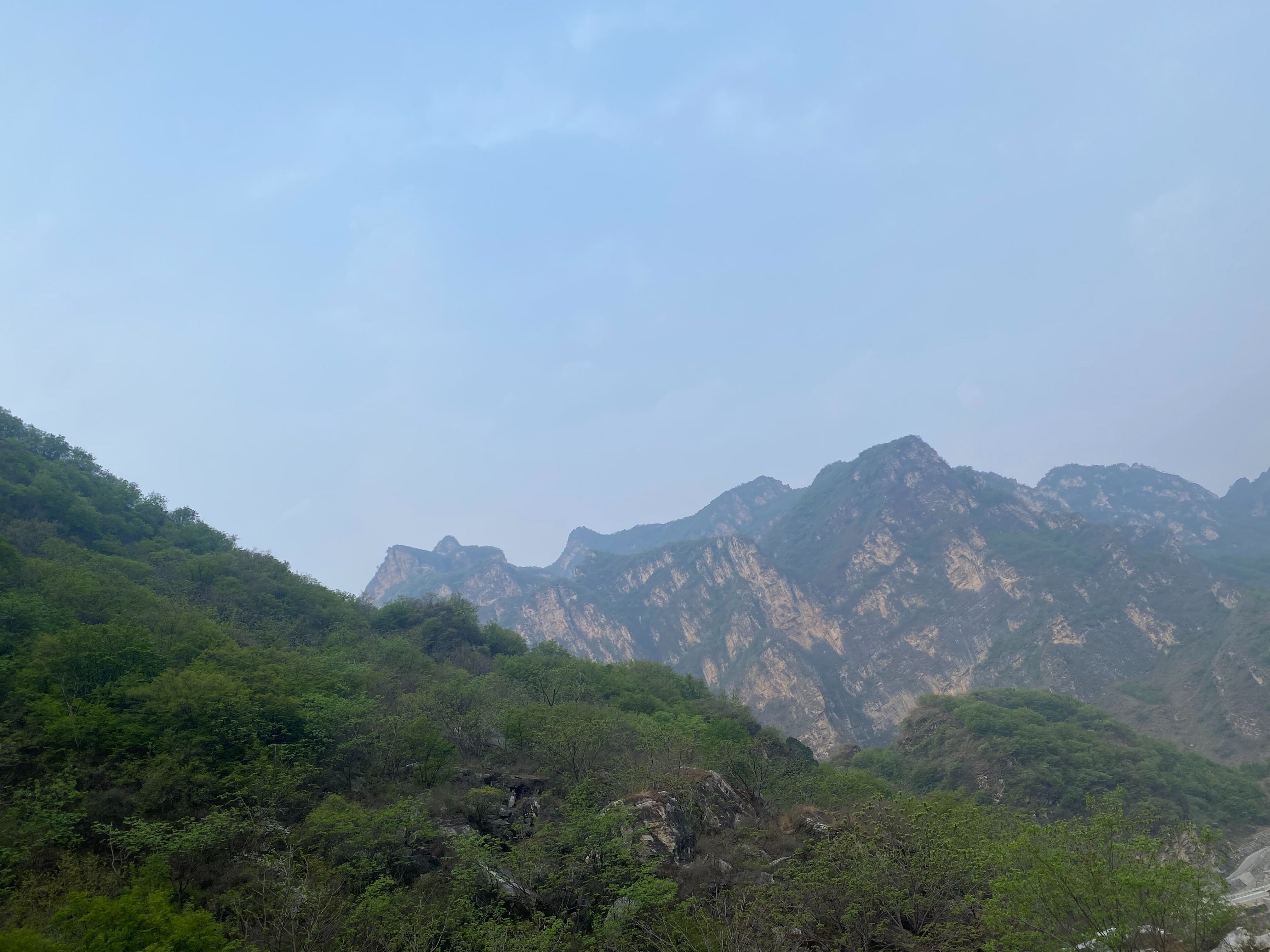特友帖子图片