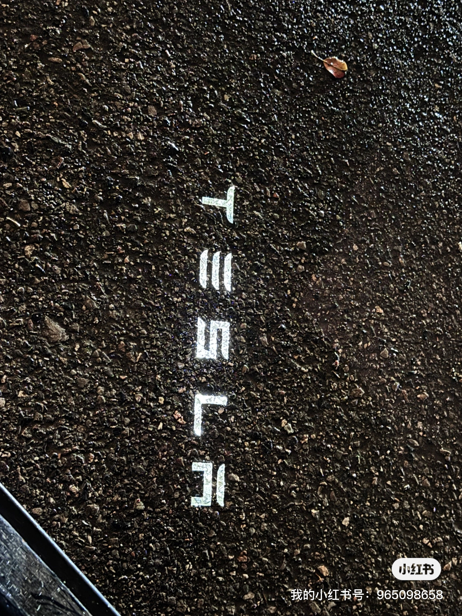液态金属银#tesla #特斯拉改色