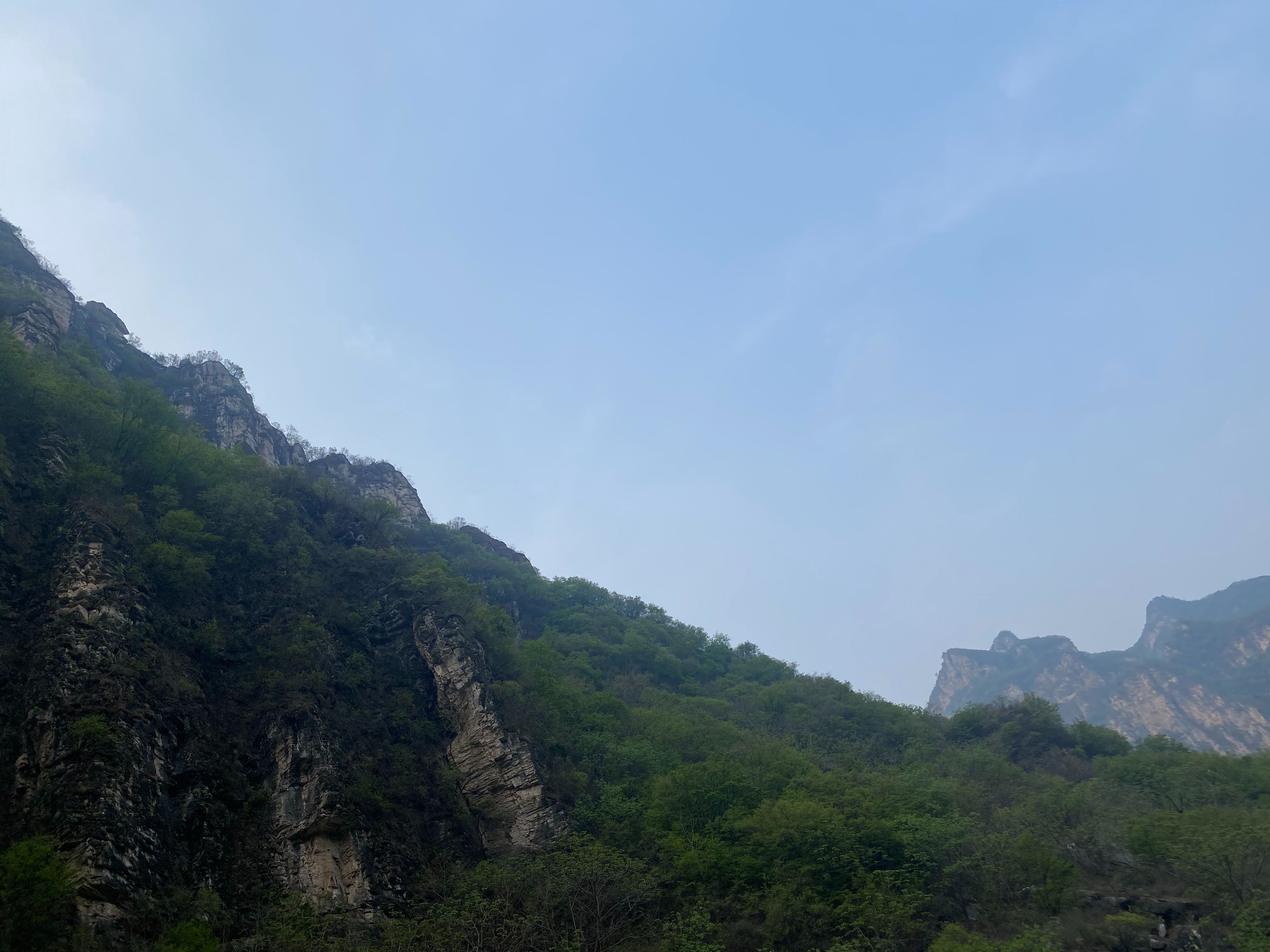 特友帖子图片