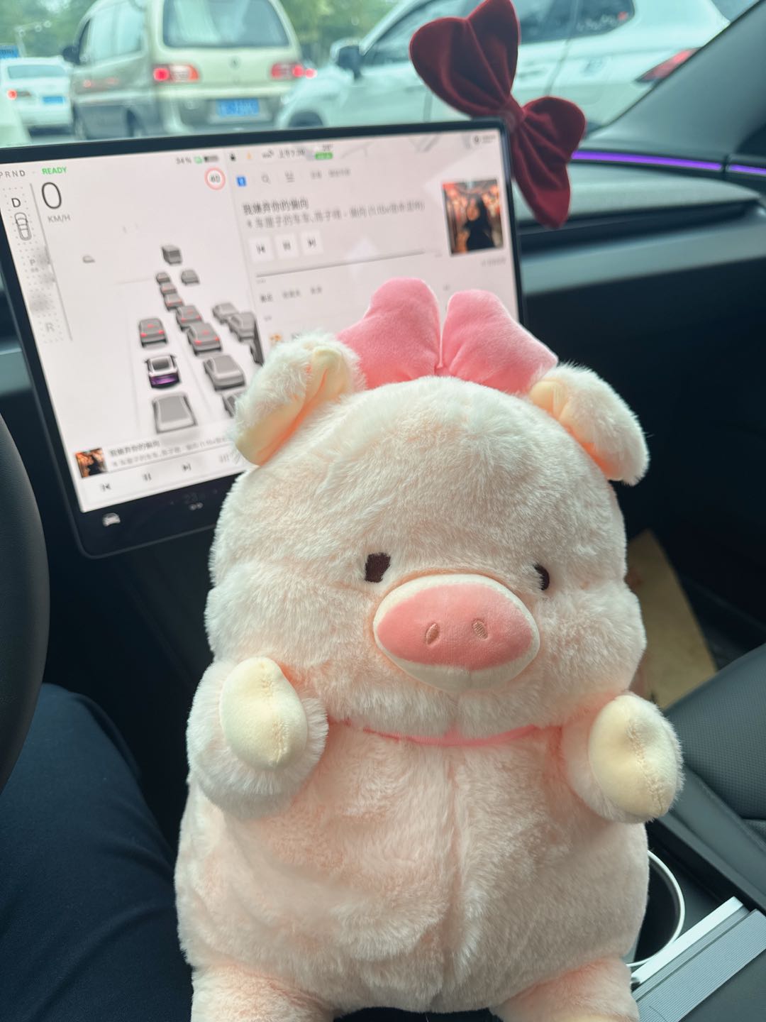 猪猪🐷的日常