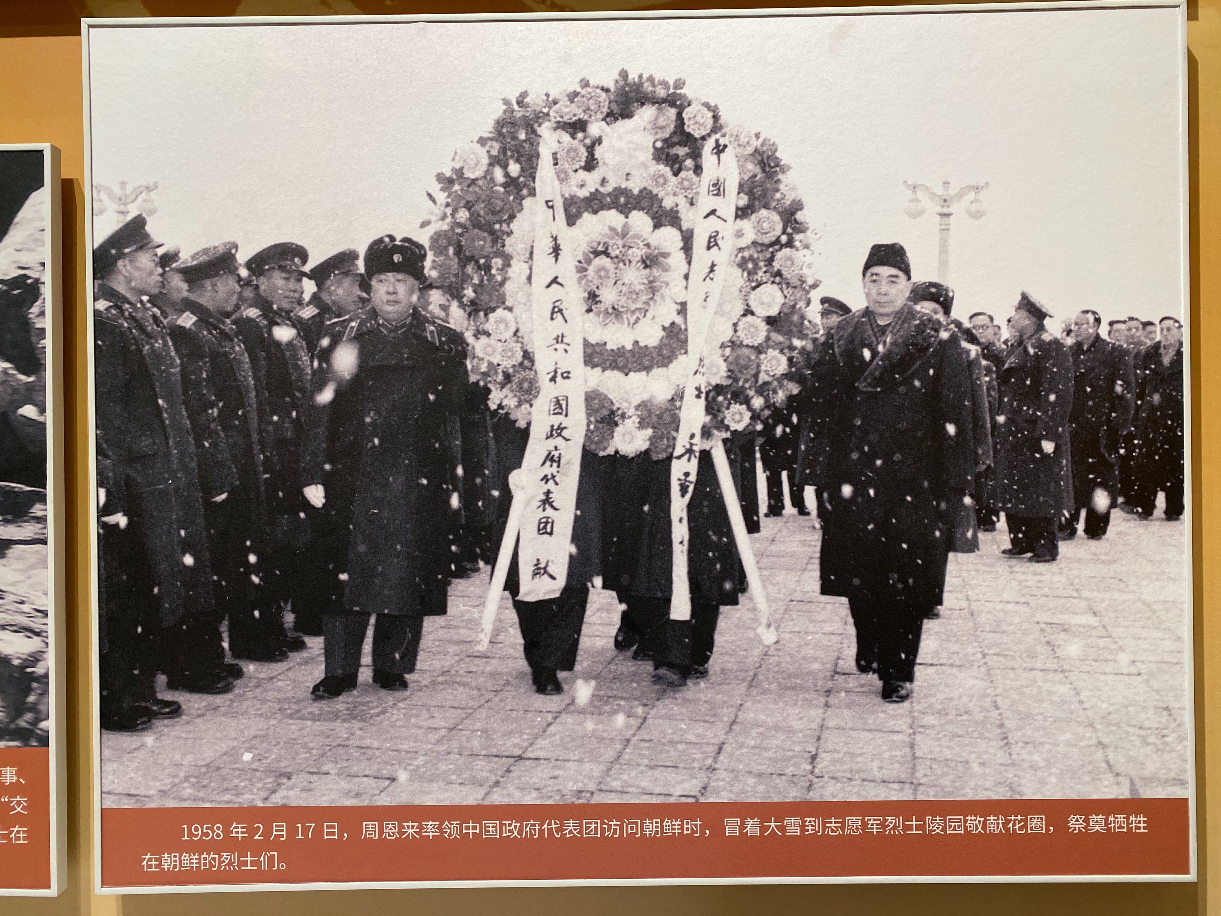 特友帖子图片