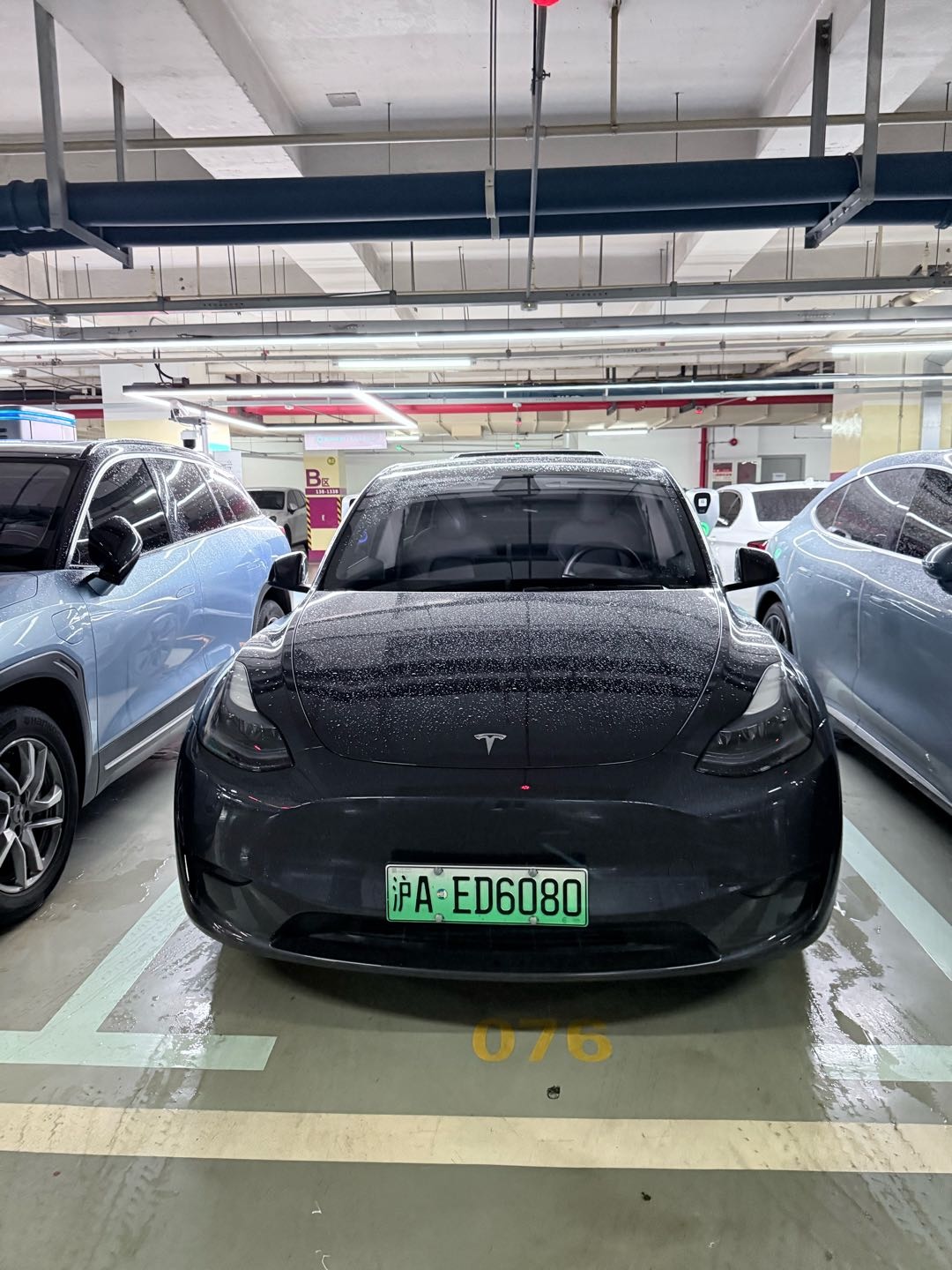 特友帖子图片