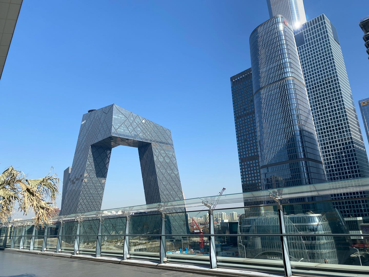 特友帖子图片