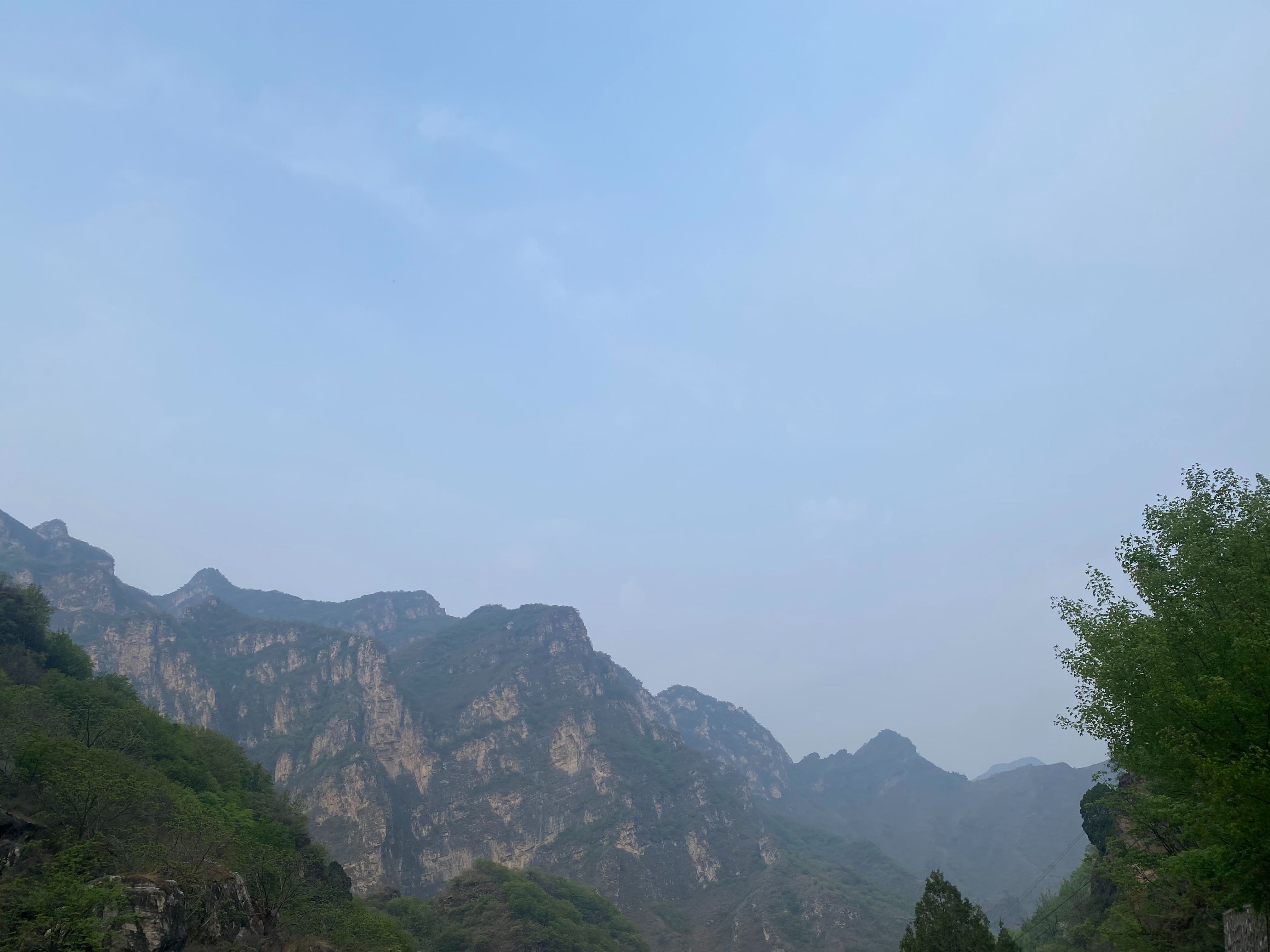 特友帖子图片