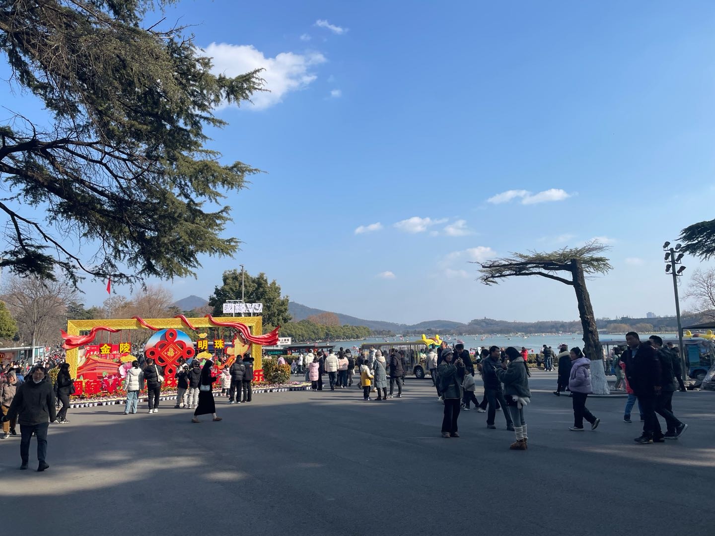 特友帖子图片