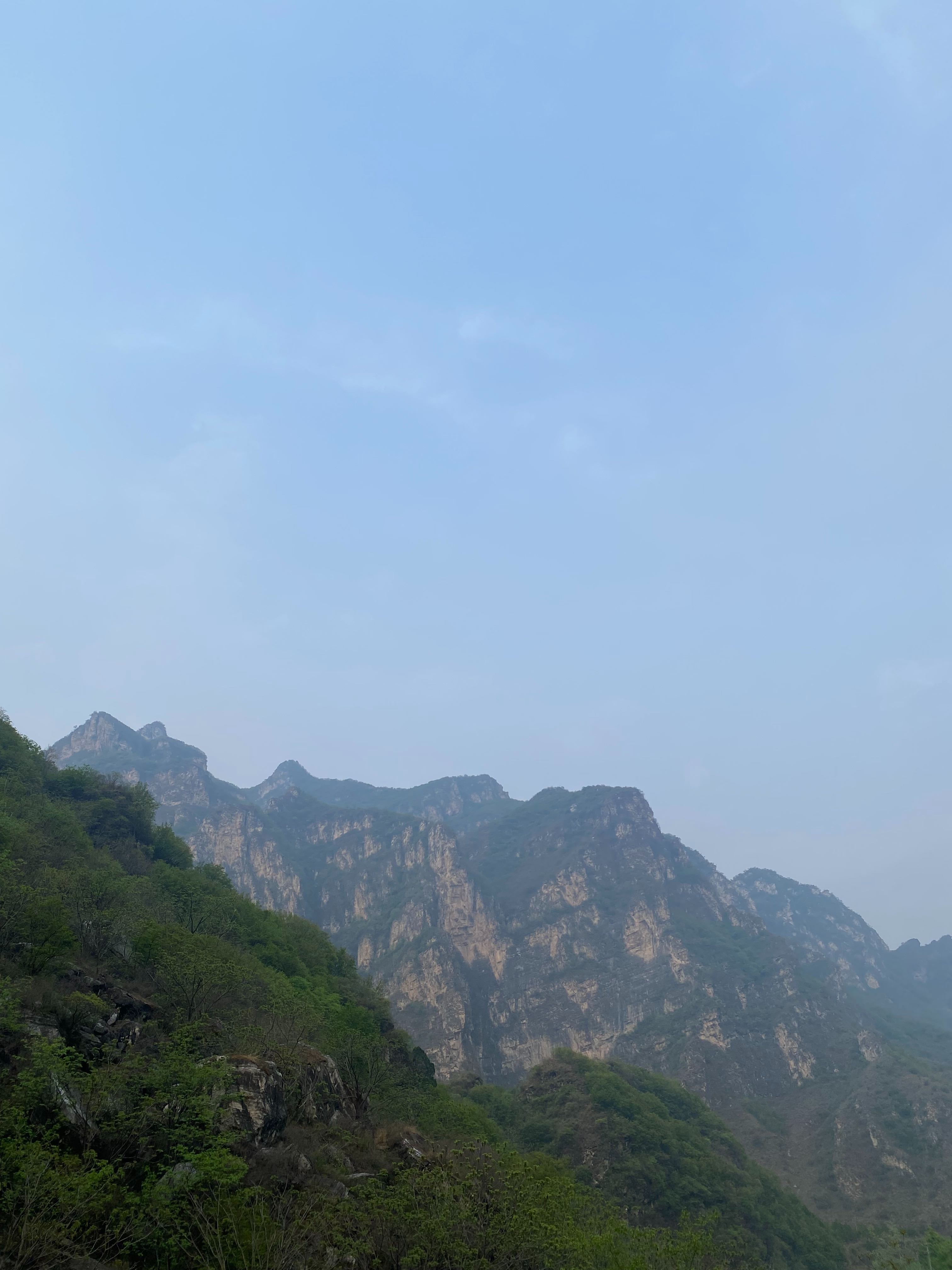 特友帖子图片