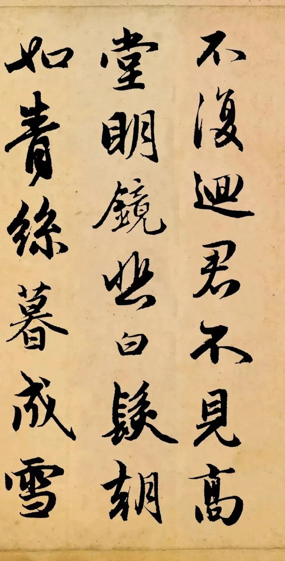 特友帖子图片