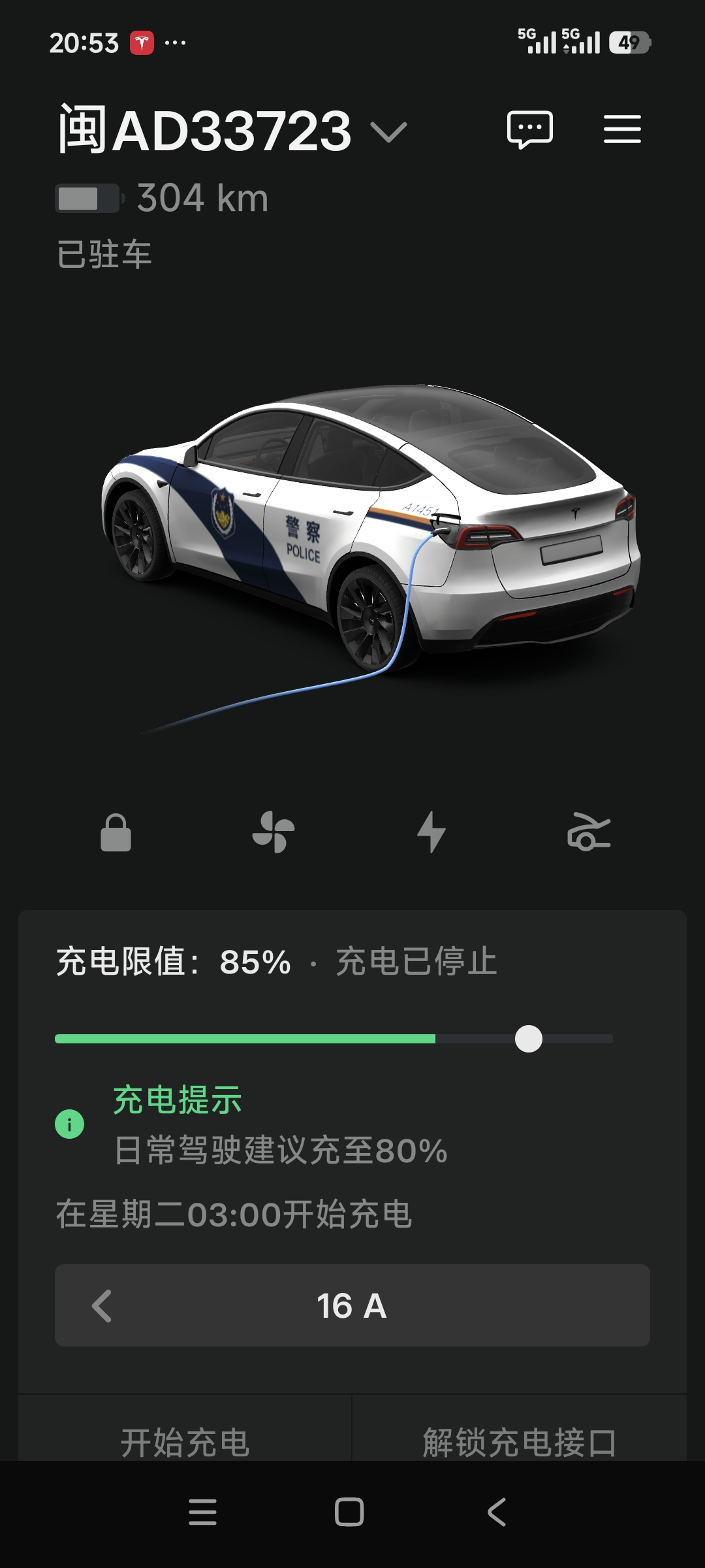 披上老虎皮还挺帅