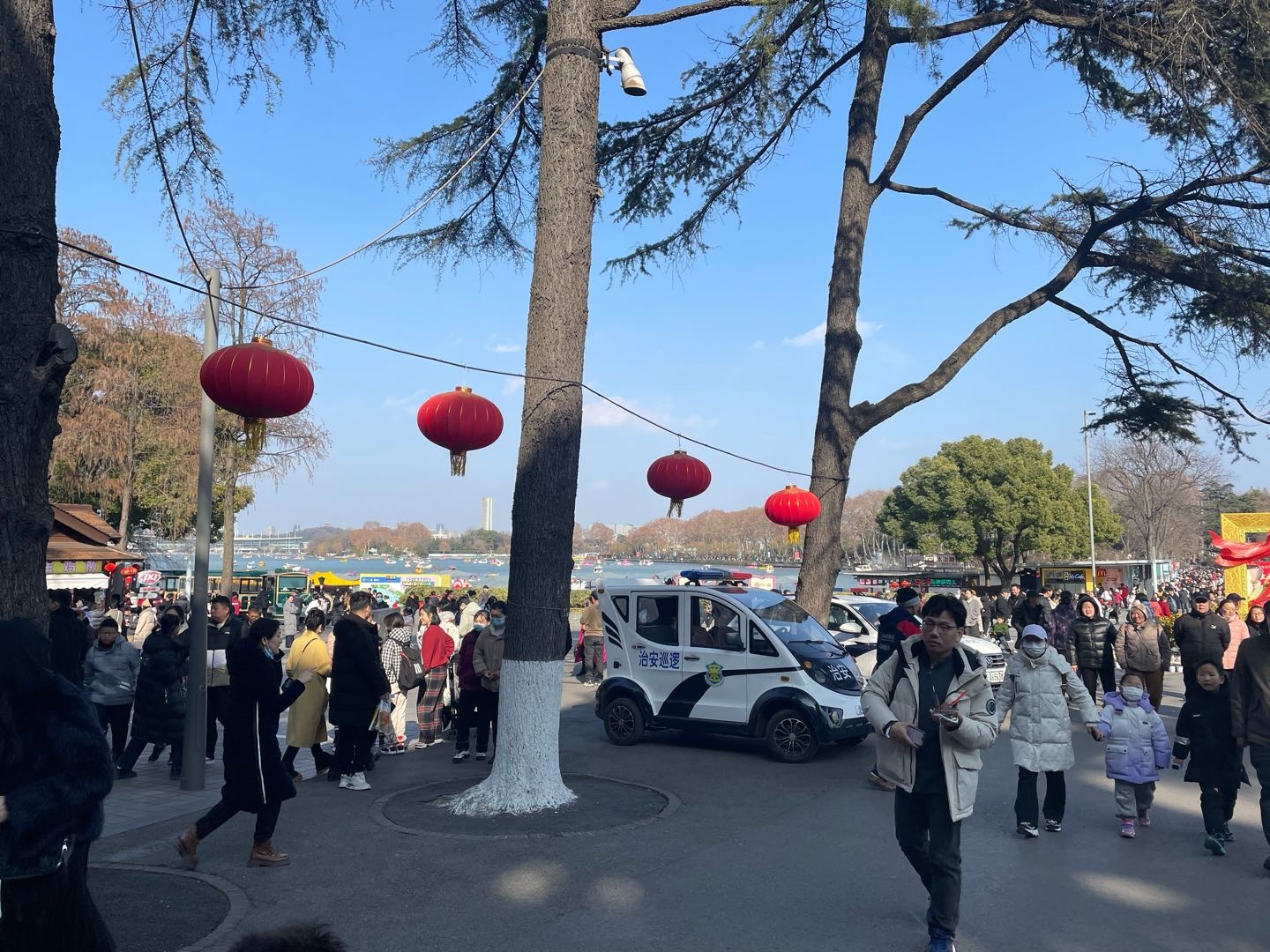 特友帖子图片