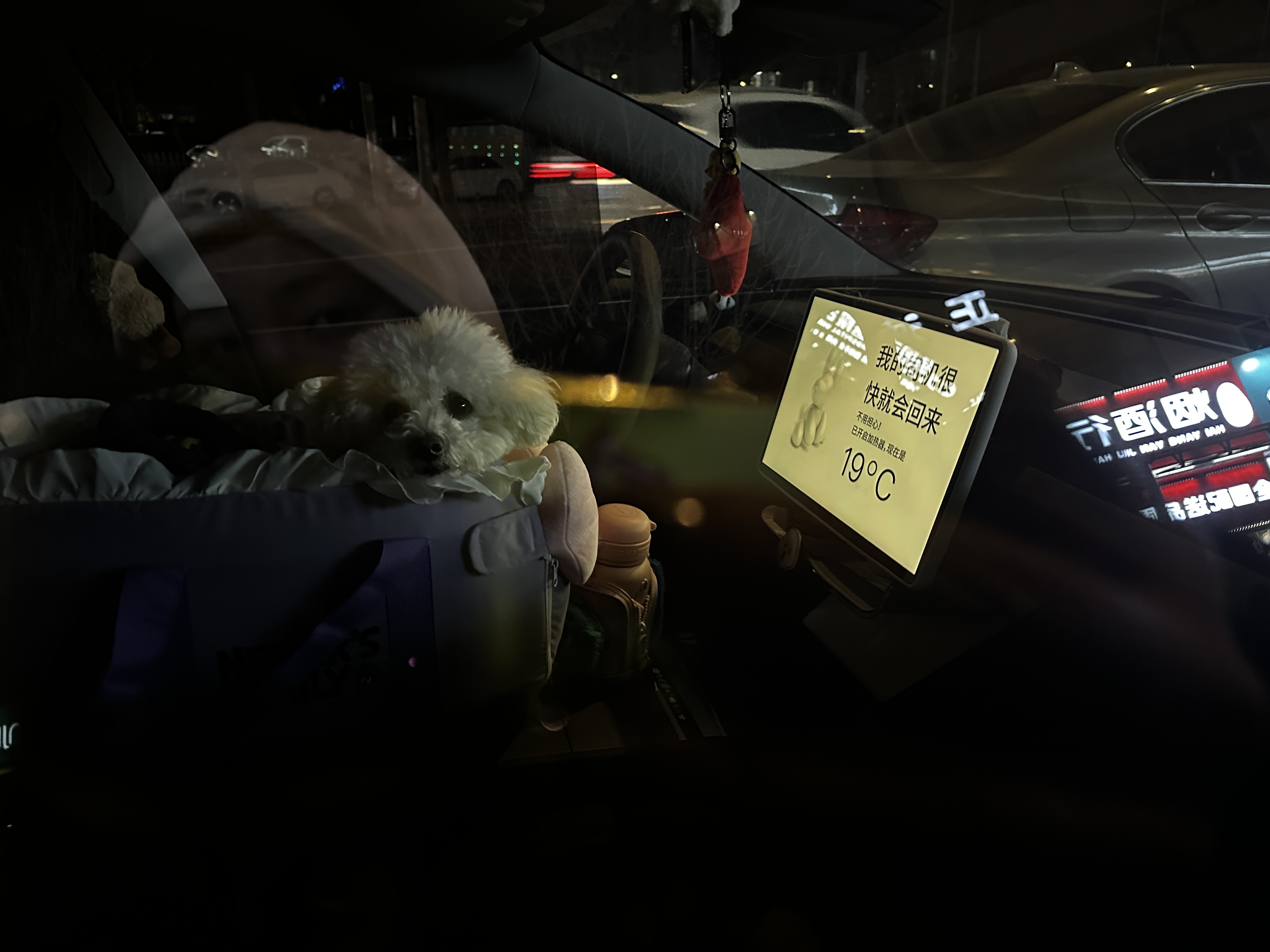 99年女生提特斯拉三个月的真实感受☃️ 99年央企打工+养宠人一枚,和我的特啦美啦相处三个月啦,开了4700+公里后的真实感受🚘✨
1.通勤幸福感拉满!💰
工作地点在郊区,每天要往返50公里,以前加油一个月800+,现在充电一次才几十块,简直不要太香!单程电费比坐地铁都便宜!省下的钱给狗狗买零食咯~
2.驾驶体验绝了!🚀
一脚电门下去,推背感直接拉满!红绿灯起步秒杀隔壁油车,感觉自己就是街上最靓的仔!而且自动驾驶太适合我这种每天要跑高速的人了,堵车也不怕,轻松又安全~
3. 科技感爆棚!⚡️
手机APP远程控制空调、查看电量、定位车辆,冬天再也不怕一进车门钻冰窖子了!感谢方向盘加热,也再也不用带手套车啦!充电的时候还可以看剧刷抖音玩游戏,一点也不无聊!
4. 环保又时尚!🌍
开电车真的有种为地球做贡献的感觉,而且特斯拉的颜值超高,贴了奶芙芙的胡椒白膜!老忍不住多看几眼~
5. 出行太方便啦🏝
以前觉得远的地方懒得去,现在充电方便且便宜,周末说走就走,带着我的狗狗周边游安排起来!滑雪爱好者开去崇礼比油车省钱多啦!
6.带狗出行超方便!🐶
再也不用怕打车被拒载,每个周末都带她出去撒欢,再加上宠物模式,再也不用担心狗狗自己在车里着凉或者闷热,在车里睡得好舒服~
#特斯拉 #电车生活 #女生开车 #科技改变生活 #省钱小能手 #用车感受 #换车的尽头是电车 #特别心动的车 #焕新版model3 #是宠物更是家人 @lycheexx