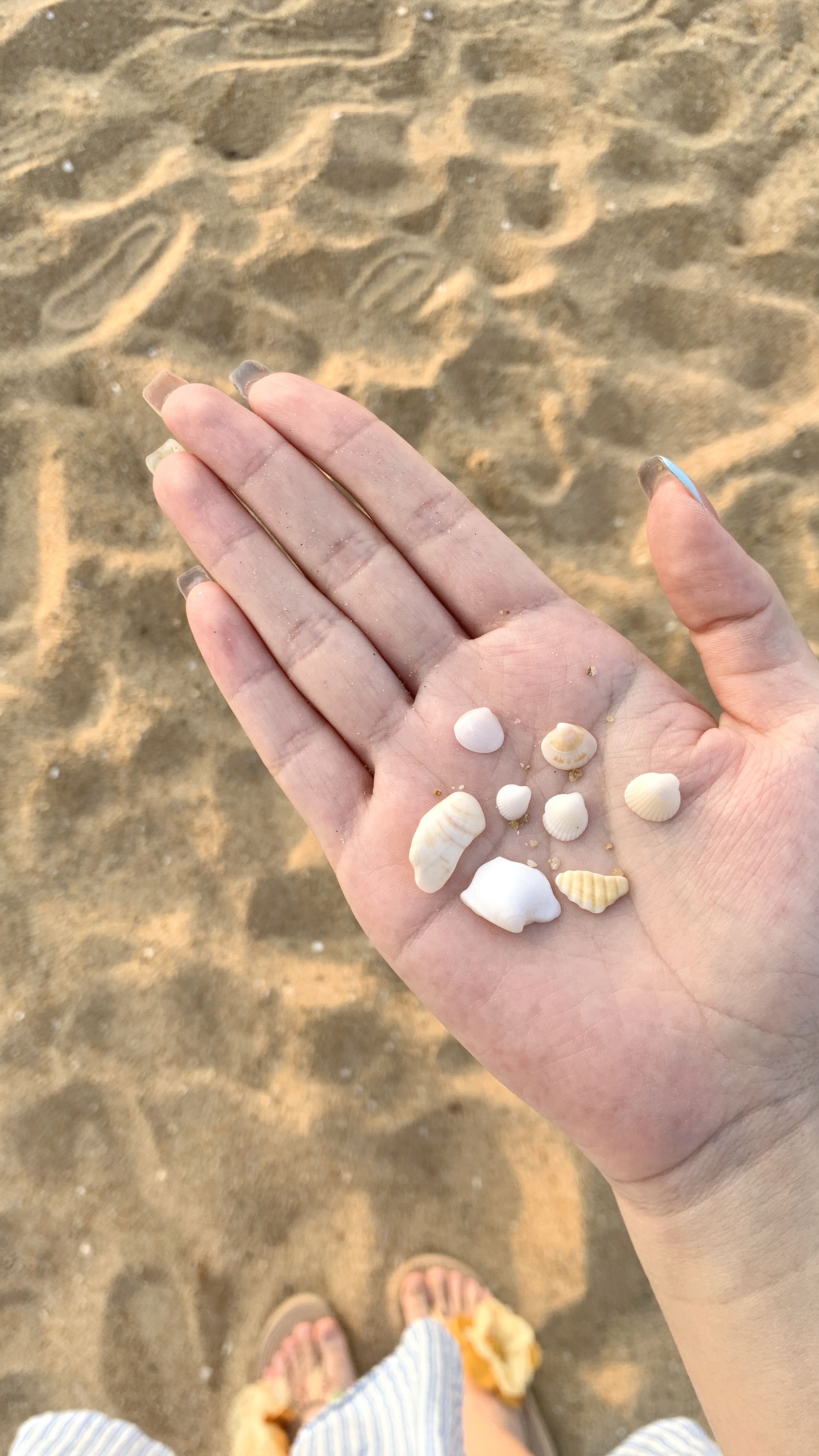 𝘣𝘭𝘶𝘦 𝘴𝘦𝘢 🩵🐚🪥𓇼 𓈒 温柔懒懒的海风🫧
#旅行日记 #来拍照了 #海边拍照 #三亚 #拍照姿势 #分享照片 @In1orange