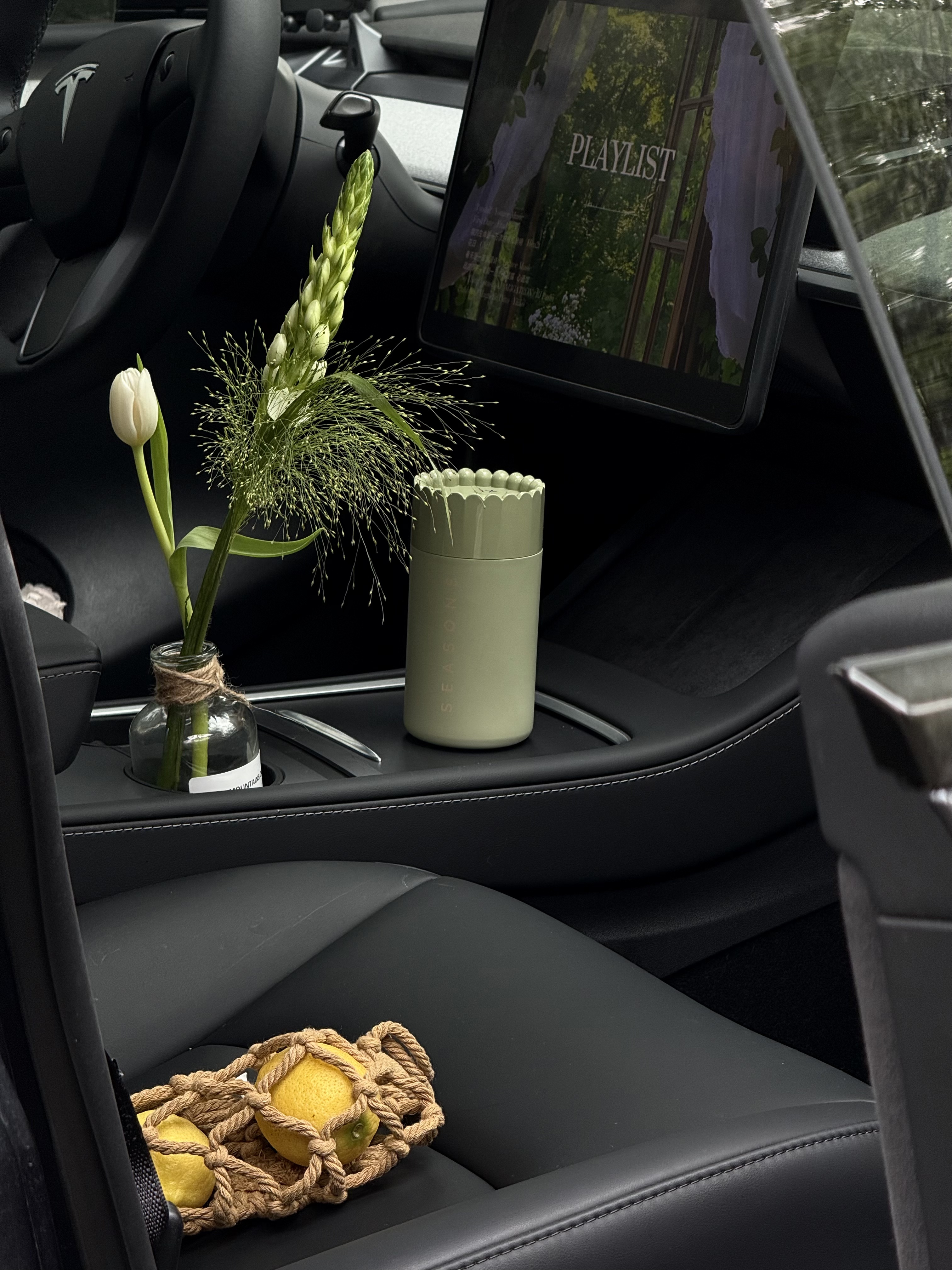 🍏Tesla｜“我无限的爱着新的一日” 鼻子灵的人先享受春天
春天太美好了
绿叶、微风、阳光……
还有我喜欢的气味
	
#车载香薰#车载好物#车内好物分享#车内拍照#小众香氛#浪漫生活的记录者 #ModelY #日常文案 #特斯拉女车主 #氛围感拍照 #暗调滤镜 #车内好物 #车载摆件 @NingNing7