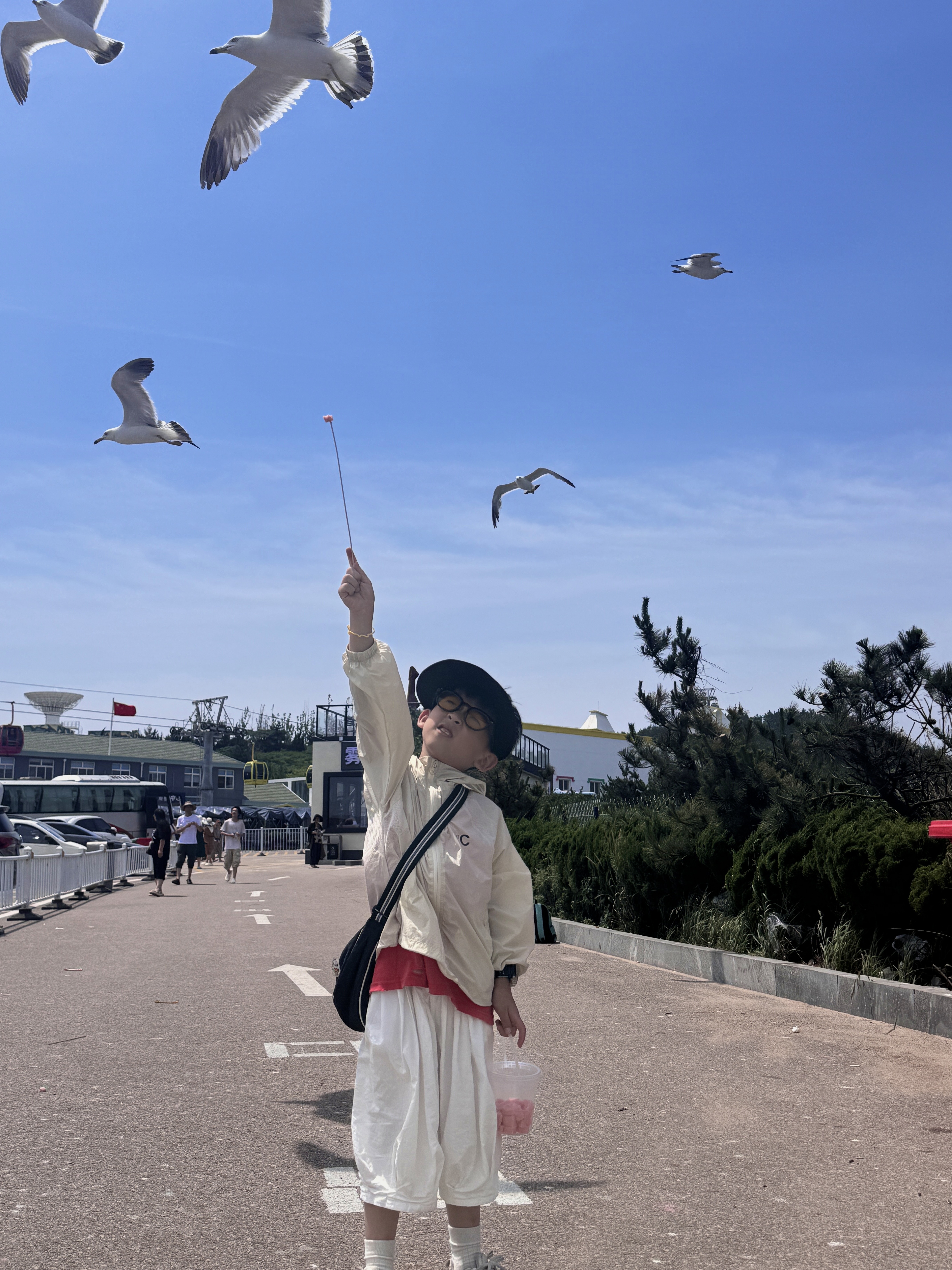 特斯拉女车主|生活是自己的 每天都是自由 威海站📍WEI HAI• BLUEWAYS.
因为抖音的一个视频———搁浅的布鲁维斯号
拉上我的旅游搭子说走就走
日升月落 总有黎明⛴
#记录吧就现在 #生活在别处自由在路上 #或许自由更甚一筹 #出发永远比向往更有意义 #多看大自然少与人纠缠 #浪漫生活的记录者 #好好生活满电出发 #威海 #这世界的一切都在吸引我 #少与人纠缠多看大自然 @何子