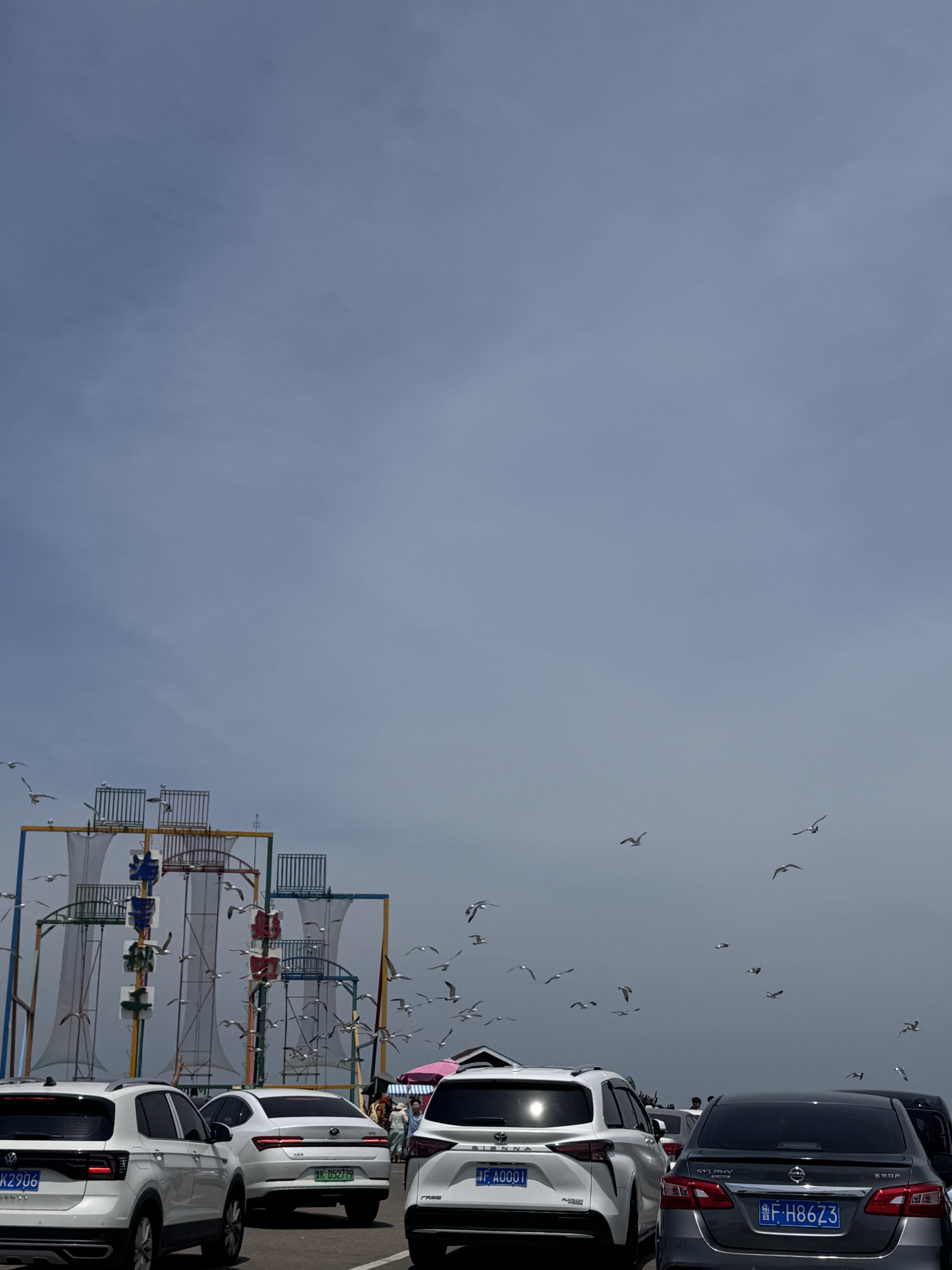 特斯拉女车主|生活是自己的 每天都是自由 威海站📍WEI HAI• BLUEWAYS.
因为抖音的一个视频———搁浅的布鲁维斯号
拉上我的旅游搭子说走就走
日升月落 总有黎明⛴
#记录吧就现在 #生活在别处自由在路上 #或许自由更甚一筹 #出发永远比向往更有意义 #多看大自然少与人纠缠 #浪漫生活的记录者 #好好生活满电出发 #威海 #这世界的一切都在吸引我 #少与人纠缠多看大自然 @何子