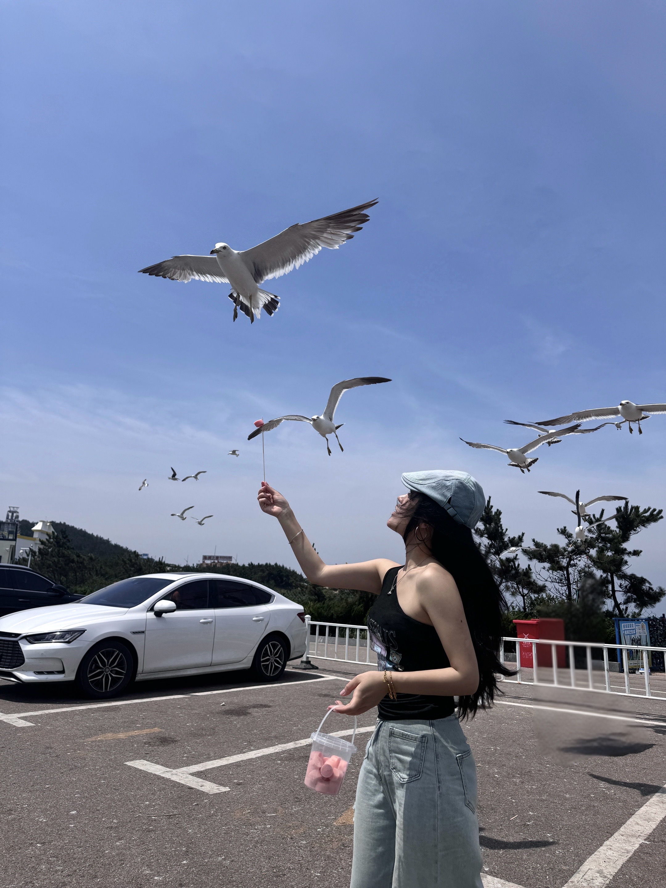 特斯拉女车主|生活是自己的 每天都是自由 威海站📍WEI HAI• BLUEWAYS.
因为抖音的一个视频———搁浅的布鲁维斯号
拉上我的旅游搭子说走就走
日升月落 总有黎明⛴
#记录吧就现在 #生活在别处自由在路上 #或许自由更甚一筹 #出发永远比向往更有意义 #多看大自然少与人纠缠 #浪漫生活的记录者 #好好生活满电出发 #威海 #这世界的一切都在吸引我 #少与人纠缠多看大自然 @何子