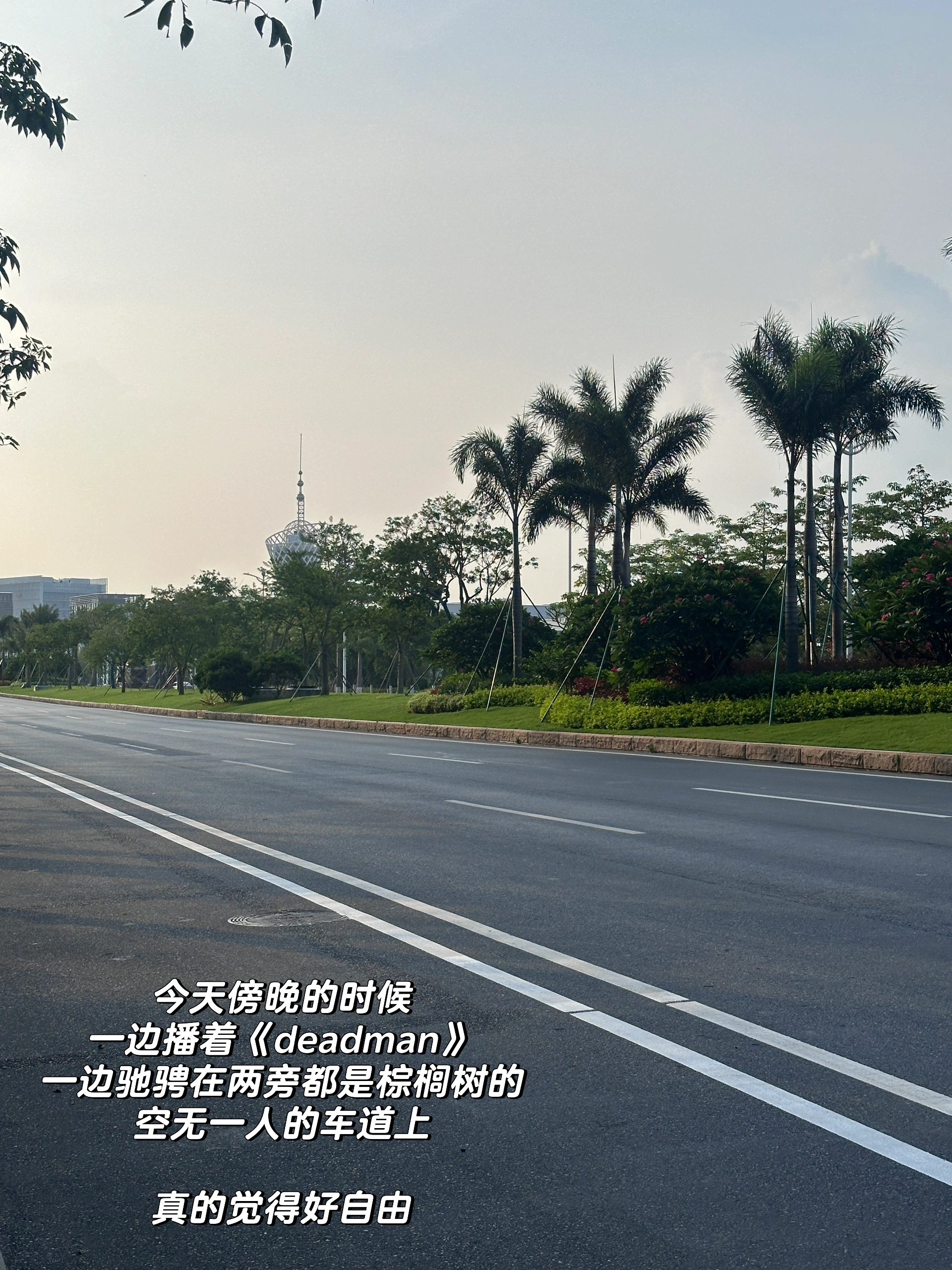 01年大厂女喜提新车｜第一次掌握人生方向盘 几个月前付定金的时候，我连驾照都没拿到。
	
四年前，在我大二暑假时，
因为不想在炎炎夏日练车和在驾校受气，
考试资格都过期了也没把驾照考下来。
	
当时想着靠打车和公共交通就可以解决日常需求，
结果现在工作去了个坐高铁很不方便，
但开车1h内能串联整个大湾区的城市。
	
这让我下定决心必须把驾照给马上考了。
	
原来特别恐惧考驾照和上路的我，
如今居然也开了快上千公里了：
从盘山山路、沿海高速，
到高楼林立的CBD和电鸡成群的城区。
	
今天下午独自一人坐在车上，握着方向盘，
听着kunkun的新歌《deadman》
在夕阳下两旁都是棕榈树的空无一人的车道上奔驰，
那一刻真的觉得，好自由。
	
经济独立、会开车——
这两件事第一次让我觉得，
自己是一个真正掌握人生方向的成年人了。
	
本科那会儿，我的活动范围不会超过家附近几公里。
每天上课、写作业，周末就去商场吃喝玩乐。
至于车？
坐别人的副驾不挺好吗，为什么要自己开？
	
我当时真的就是这么想的。
	
直到我学会开车，
我才意识到我的生活半径一下子被扩张了。
	
我可以决定要去哪里、什么时候出发、哪条路最舒服；
我必须全神贯注地为自己和路上的每一个人负责。
	
还让我惊讶的是：
自从自己开车才发现——
主驾驶的风景，真的和副驾驶完全不一样。
同一条路，因为视角不同，带来的体验截然不同。
我才意识到，道路景观设计，本就是为主驾驶而设的。
	
其实人生何尝不是如此。
很多生活和工作的场景，
只有你坐在“主驾驶”位置，
才能拥有真正的视野、节奏与选择权。
	
工作也是。
三年前，我是一个对未来毫无方向、每天混日子的大学生。
当时身边人都在劝我：“不用那么努力啦，有什么意义呢？”
	
但我不甘心就这样混下去。
于是我一个人拖着行李去了外地实习，
一边适应陌生的城市节奏，
一边试图在工作中找到属于自己的位置。
	
虽然那时候没有什么经验，也经历过很多怀疑人生的时刻，
但我始终觉得：比起原地不动，我更害怕的是对生活永远都没有掌控权。
	
现在再看，那个曾经宁愿错过驾照也不愿晒太阳的我，
如今也能独自开过一千公里、穿过无数路口了。
	
或许没有谁规定长大是什么样子，
但我知道——
把人生的方向盘牢牢握在自己手里，真的会更爽。
	
下一篇分享一下特斯拉驾驶体验和推荐的配件～
	
#人生第一辆车#适合女孩子的车 #特斯拉 #喜提爱车 #手握方向盘的女孩 #我的小车日记 #握紧方向盘的第一天 #人生第一辆车 @是白羊Fifi呀