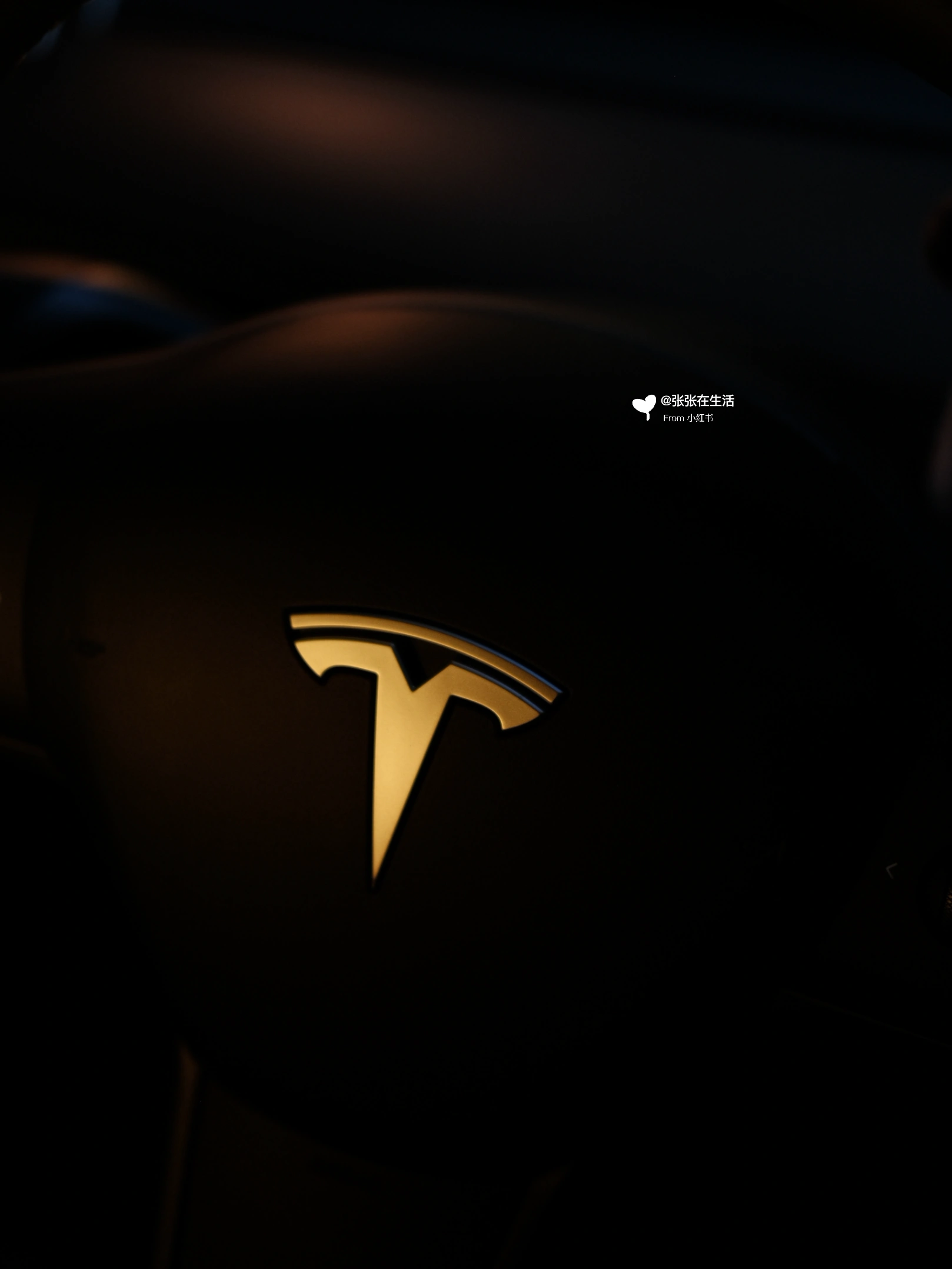 🤍TESLA｜黑夜里的光🌟 #特斯拉
#特斯拉女车主
#plog #黑夜里的光
#车内拍照 #富士直出
#特斯拉modely
#浪漫生活的记录者
#汽车博主 #氛围感 @张张在生活