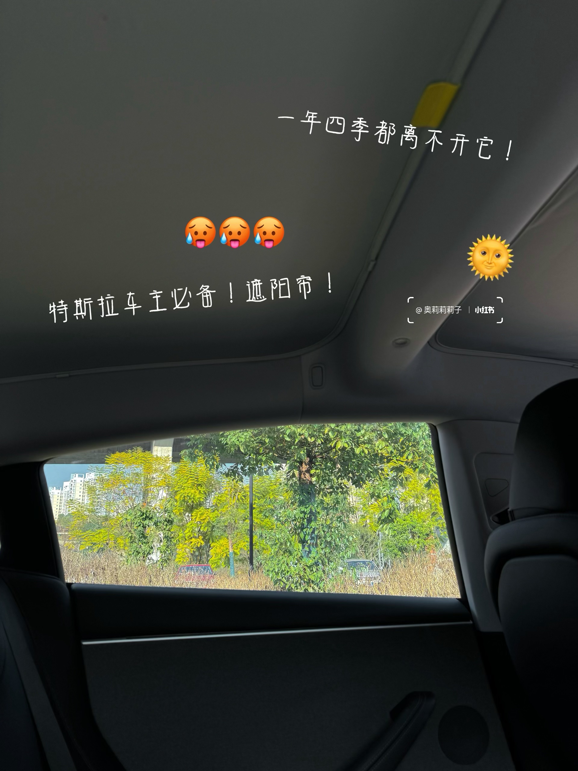 特斯拉女车主私藏✨ 可爱与实用的车载好物🚗 之前总有人说特斯拉内饰像 “毛坯房”🙂‍↔️
30+姐姐偏要反向爆改！😎
靠这些私藏可爱小物
把车改成超治愈移动小窝💕
	
颜值 + 实用 + 松弛感全在线💖
通勤路上直接封神✨
再忙也要用小美好宠爱自己呀～🥳
	
🌼花花车载香薰
“一路花一路发”💰🤩！小花造型超乖🌸闺蜜上车就追着问链接
	
💐郁金香仿真花
被问超多的郁金香fafa，实则是仿真花，瞬间提升车内格调～
	
📱手机支架 ：和特斯拉完美贴合，导航再也不用手忙脚乱，“啵啵”一放稳当当，实用党狂喜！
	
🐻西高地小狗摆件
软fufu超治愈，放中控当“副驾搭子”，堵车时看它心情都变好
	
🎀Kitty 摇头摆件
阳光下的小甜妹组合！
一粉一红超吸睛，少女心爆棚🌸
	
💺护颈好帮手
开车久坐脖子酸？不存在的！
支撑力 max + 奶白云朵造型☁舒适度 & 颜值双在线
	
🎀粉粉嫩嫩水杯
像给杯子穿件 “小礼服”🥛喝水仪式感直接拉满～
粉糯糯配色超戳少女心
	
🌞特斯拉遮阳帘
车主必备！不管啥季节，有它车内立马降温，再也不怕晒成 “黑煤球”
	
🐶飞行员小狗纸巾盒
可爱 + 实用双 buff🐕挂后座当“小乘客”，实用又萌～
	
这些小登西往车上一摆
特斯拉直接变身移动可爱城堡🏰
实用又能装点氛围，特斯拉车友们快抄作业！
	
#RCC看车节 #成都车展 #不止看车更看生活#特斯拉 #车载好物 #女生车里有什么 #我爱我的车搭子 #女生车饰 #一人一件车载好物 #氛围感车内饰 #特斯拉车主 #Tesla #汽车好物 #提升车内氛围 #车载好物 #汽车博主 #model3 #车载香薰推荐 #车内好物推荐 #车内高颜值好物 #开车必备 #车内必备好物 @奥莉莉莉子