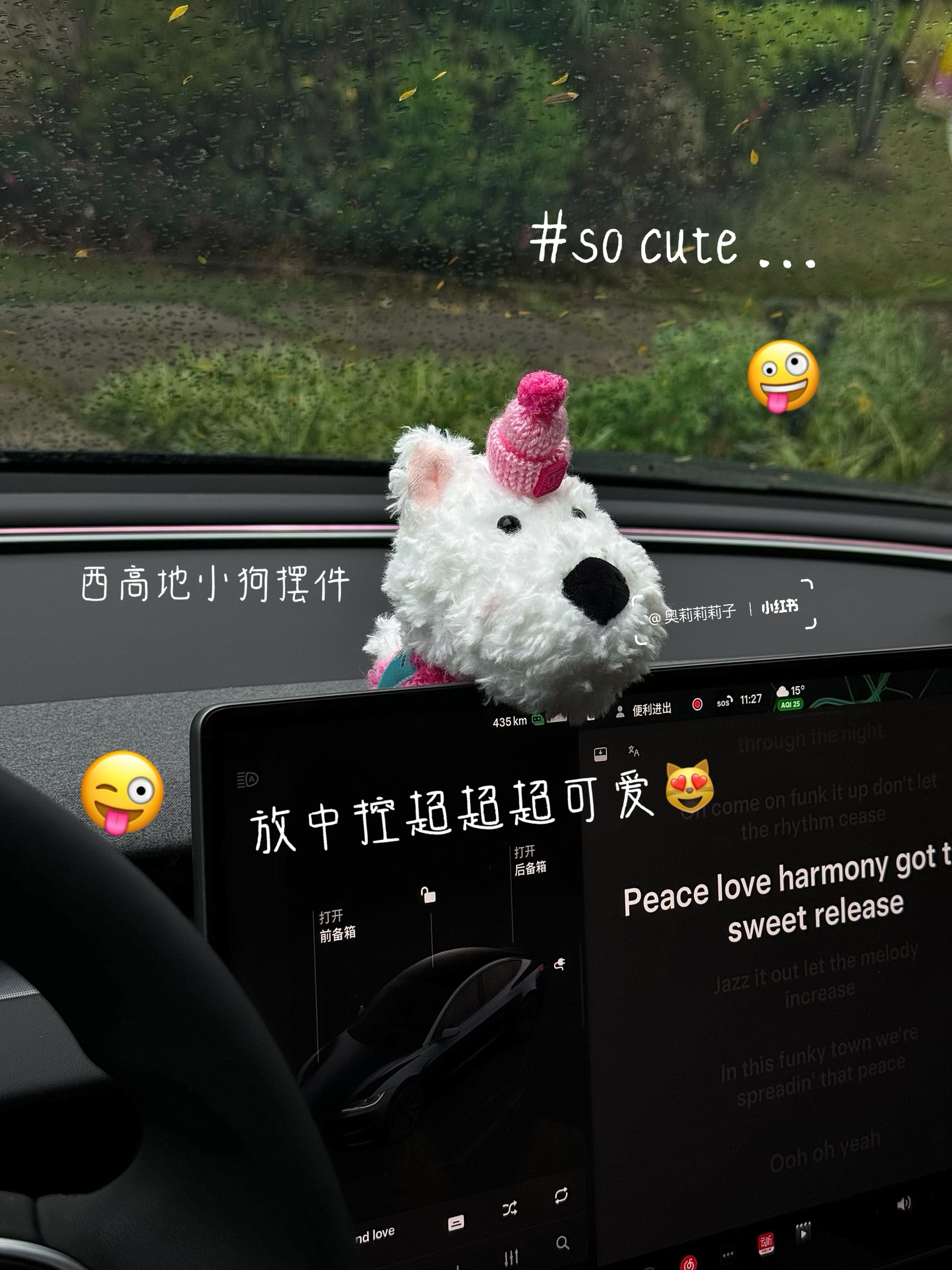 特斯拉女车主私藏✨ 可爱与实用的车载好物🚗 之前总有人说特斯拉内饰像 “毛坯房”🙂‍↔️
30+姐姐偏要反向爆改！😎
靠这些私藏可爱小物
把车改成超治愈移动小窝💕
	
颜值 + 实用 + 松弛感全在线💖
通勤路上直接封神✨
再忙也要用小美好宠爱自己呀～🥳
	
🌼花花车载香薰
“一路花一路发”💰🤩！小花造型超乖🌸闺蜜上车就追着问链接
	
💐郁金香仿真花
被问超多的郁金香fafa，实则是仿真花，瞬间提升车内格调～
	
📱手机支架 ：和特斯拉完美贴合，导航再也不用手忙脚乱，“啵啵”一放稳当当，实用党狂喜！
	
🐻西高地小狗摆件
软fufu超治愈，放中控当“副驾搭子”，堵车时看它心情都变好
	
🎀Kitty 摇头摆件
阳光下的小甜妹组合！
一粉一红超吸睛，少女心爆棚🌸
	
💺护颈好帮手
开车久坐脖子酸？不存在的！
支撑力 max + 奶白云朵造型☁舒适度 & 颜值双在线
	
🎀粉粉嫩嫩水杯
像给杯子穿件 “小礼服”🥛喝水仪式感直接拉满～
粉糯糯配色超戳少女心
	
🌞特斯拉遮阳帘
车主必备！不管啥季节，有它车内立马降温，再也不怕晒成 “黑煤球”
	
🐶飞行员小狗纸巾盒
可爱 + 实用双 buff🐕挂后座当“小乘客”，实用又萌～
	
这些小登西往车上一摆
特斯拉直接变身移动可爱城堡🏰
实用又能装点氛围，特斯拉车友们快抄作业！
	
#RCC看车节 #成都车展 #不止看车更看生活#特斯拉 #车载好物 #女生车里有什么 #我爱我的车搭子 #女生车饰 #一人一件车载好物 #氛围感车内饰 #特斯拉车主 #Tesla #汽车好物 #提升车内氛围 #车载好物 #汽车博主 #model3 #车载香薰推荐 #车内好物推荐 #车内高颜值好物 #开车必备 #车内必备好物 @奥莉莉莉子