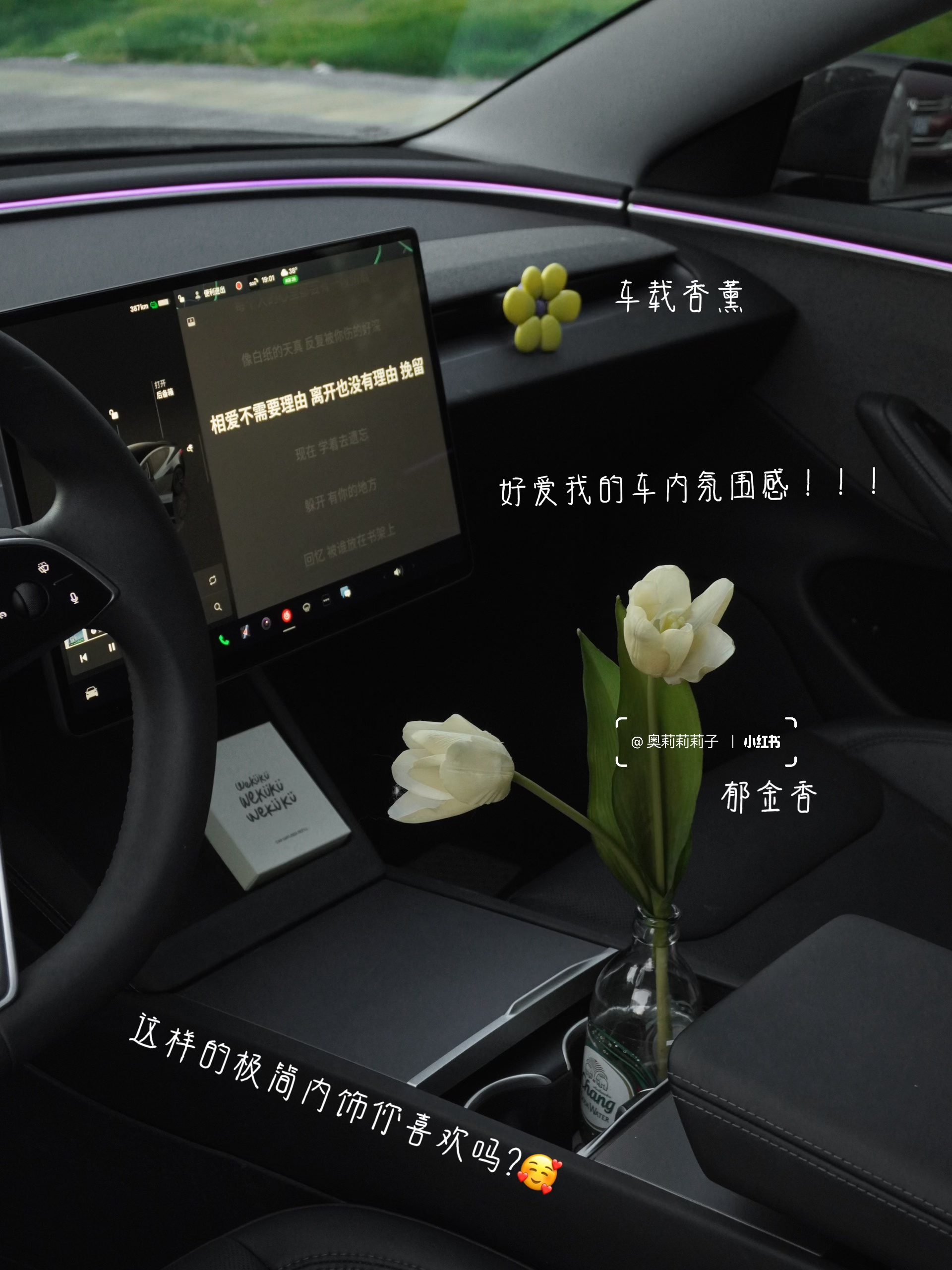 特斯拉女车主私藏✨ 可爱与实用的车载好物🚗 之前总有人说特斯拉内饰像 “毛坯房”🙂‍↔️
30+姐姐偏要反向爆改！😎
靠这些私藏可爱小物
把车改成超治愈移动小窝💕
	
颜值 + 实用 + 松弛感全在线💖
通勤路上直接封神✨
再忙也要用小美好宠爱自己呀～🥳
	
🌼花花车载香薰
“一路花一路发”💰🤩！小花造型超乖🌸闺蜜上车就追着问链接
	
💐郁金香仿真花
被问超多的郁金香fafa，实则是仿真花，瞬间提升车内格调～
	
📱手机支架 ：和特斯拉完美贴合，导航再也不用手忙脚乱，“啵啵”一放稳当当，实用党狂喜！
	
🐻西高地小狗摆件
软fufu超治愈，放中控当“副驾搭子”，堵车时看它心情都变好
	
🎀Kitty 摇头摆件
阳光下的小甜妹组合！
一粉一红超吸睛，少女心爆棚🌸
	
💺护颈好帮手
开车久坐脖子酸？不存在的！
支撑力 max + 奶白云朵造型☁舒适度 & 颜值双在线
	
🎀粉粉嫩嫩水杯
像给杯子穿件 “小礼服”🥛喝水仪式感直接拉满～
粉糯糯配色超戳少女心
	
🌞特斯拉遮阳帘
车主必备！不管啥季节，有它车内立马降温，再也不怕晒成 “黑煤球”
	
🐶飞行员小狗纸巾盒
可爱 + 实用双 buff🐕挂后座当“小乘客”，实用又萌～
	
这些小登西往车上一摆
特斯拉直接变身移动可爱城堡🏰
实用又能装点氛围，特斯拉车友们快抄作业！
	
#RCC看车节 #成都车展 #不止看车更看生活#特斯拉 #车载好物 #女生车里有什么 #我爱我的车搭子 #女生车饰 #一人一件车载好物 #氛围感车内饰 #特斯拉车主 #Tesla #汽车好物 #提升车内氛围 #车载好物 #汽车博主 #model3 #车载香薰推荐 #车内好物推荐 #车内高颜值好物 #开车必备 #车内必备好物 @奥莉莉莉子
