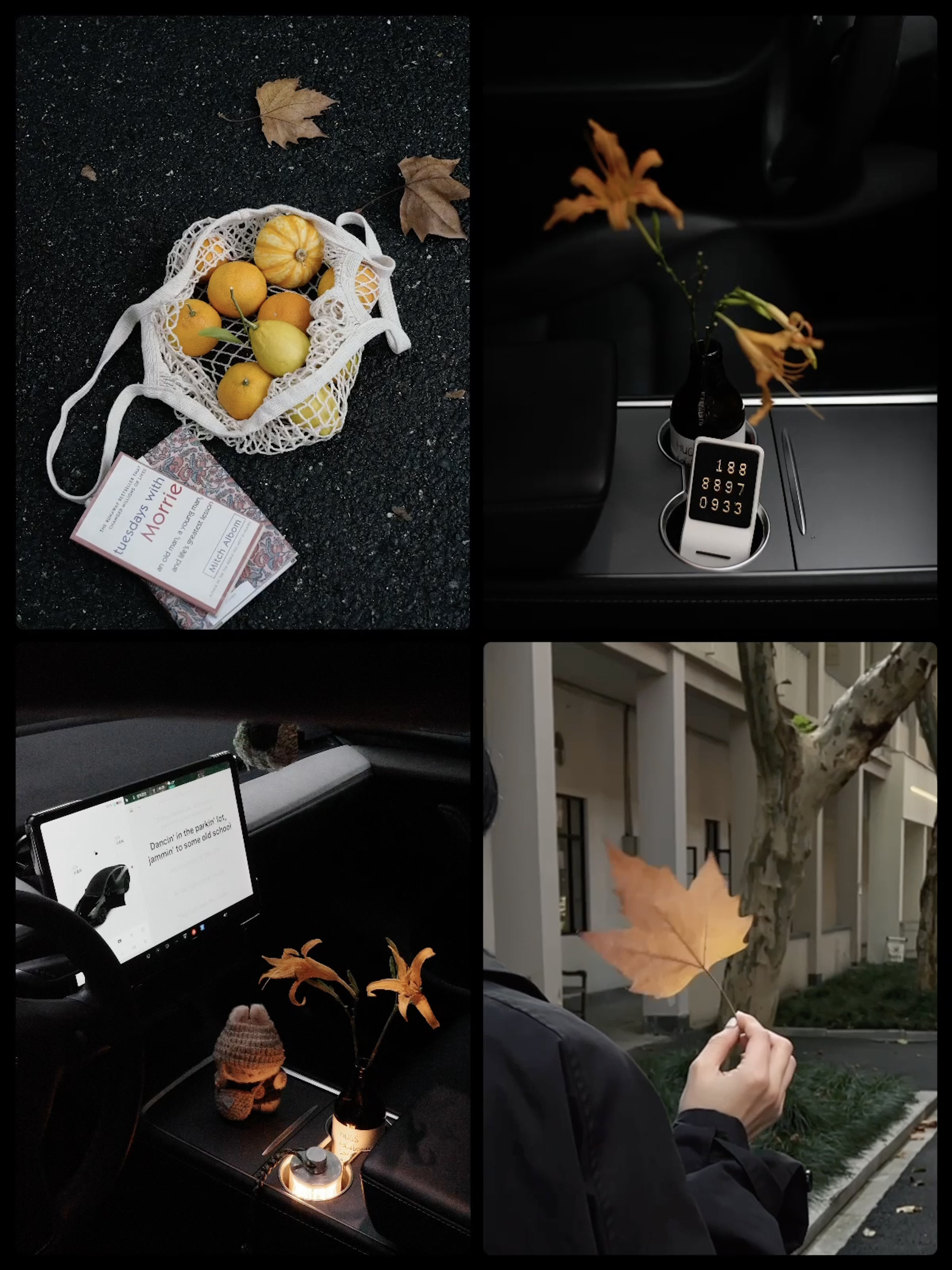 🔴𝚃𝚎𝚜𝚕𝚊｜“秋天的故事 不请自来” 秋风裹着落叶悄悄飘进车里，
故事总是不请自来。
	
#低头捡个秋 #汽车博主 #祝我们都好在秋天 #特斯拉 #女生车内饰 #特斯拉内饰 #一人一件车载好物 #秋日氛围感 @➰YY.