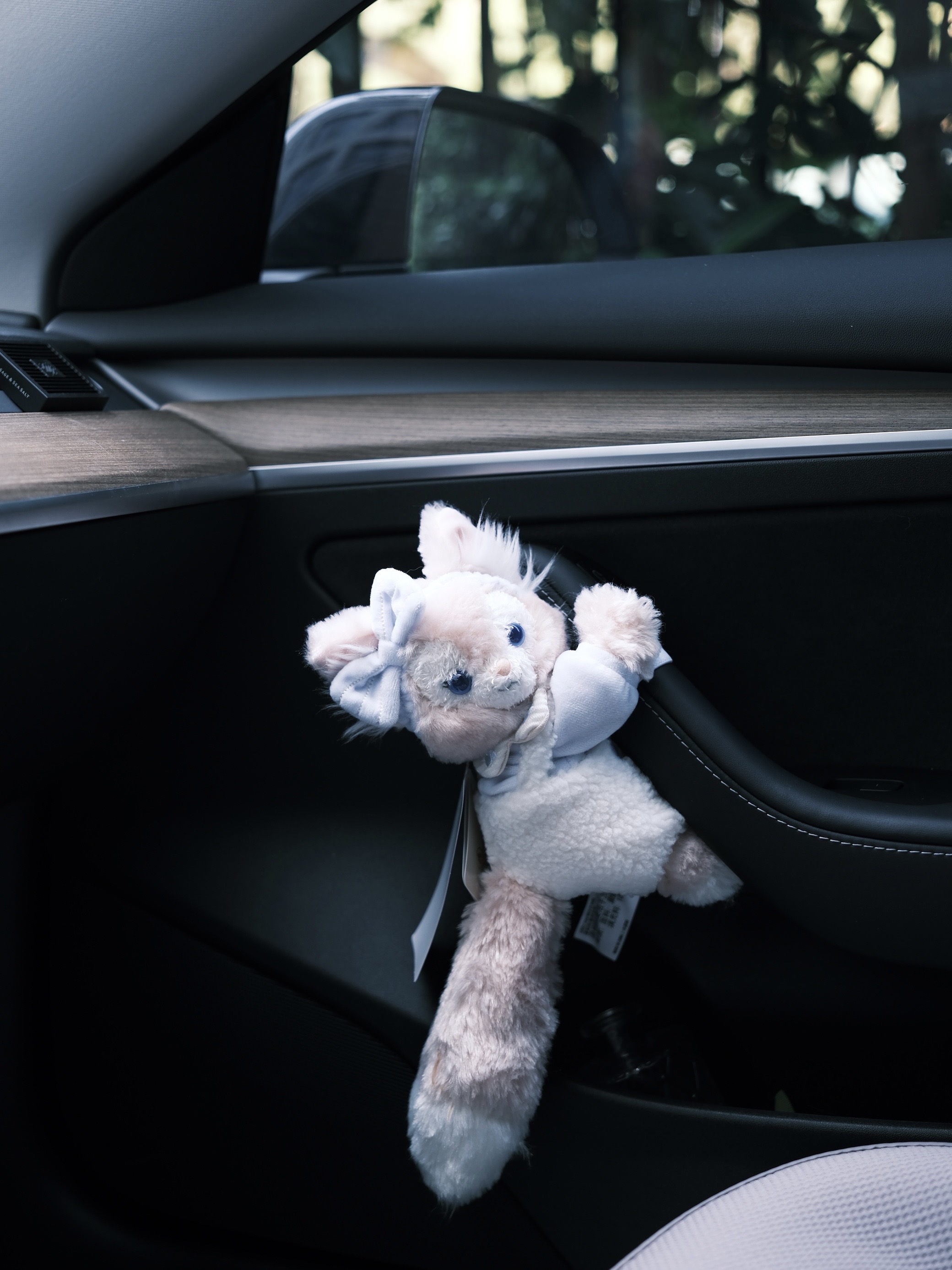 特斯拉的内饰基础，车搭子就不基础 真的好喜欢💕我最近的车搭子呀
-
hello kitty：日本购入的两只kitty，脸也很甜、三丽欧和toptoy盲盒kitty
迪士尼系列：玲娜贝儿冰箱贴（刚好挂在怀挡上）、玲娜贝儿绑带（门把手的位置很适合）
泡泡马特系列：改色膜老板送的labubu、太空人隐藏款、两只星星人
车载香薰膏🌼：超爱这种中式镂空花窗的浮雕设计感
膏体是流沙半透质地，海星贝壳🐚点缀其中，让我一下就想到了朵莉亚
在阳光下还有微微的细闪✨
香味是可调节的淡香型，不会晕车
-
好像能挂的地方都挂满了
女孩子的车都是这样的吗？
哈哈哈哈哈哈哈
#特斯拉 #车搭子 #车载好物分享 #车载香薰 #这都拿不下你 #车载好物 #我的车搭子 #女生车里有什么 #车内饰装饰 #女生车饰 @沈茶茶