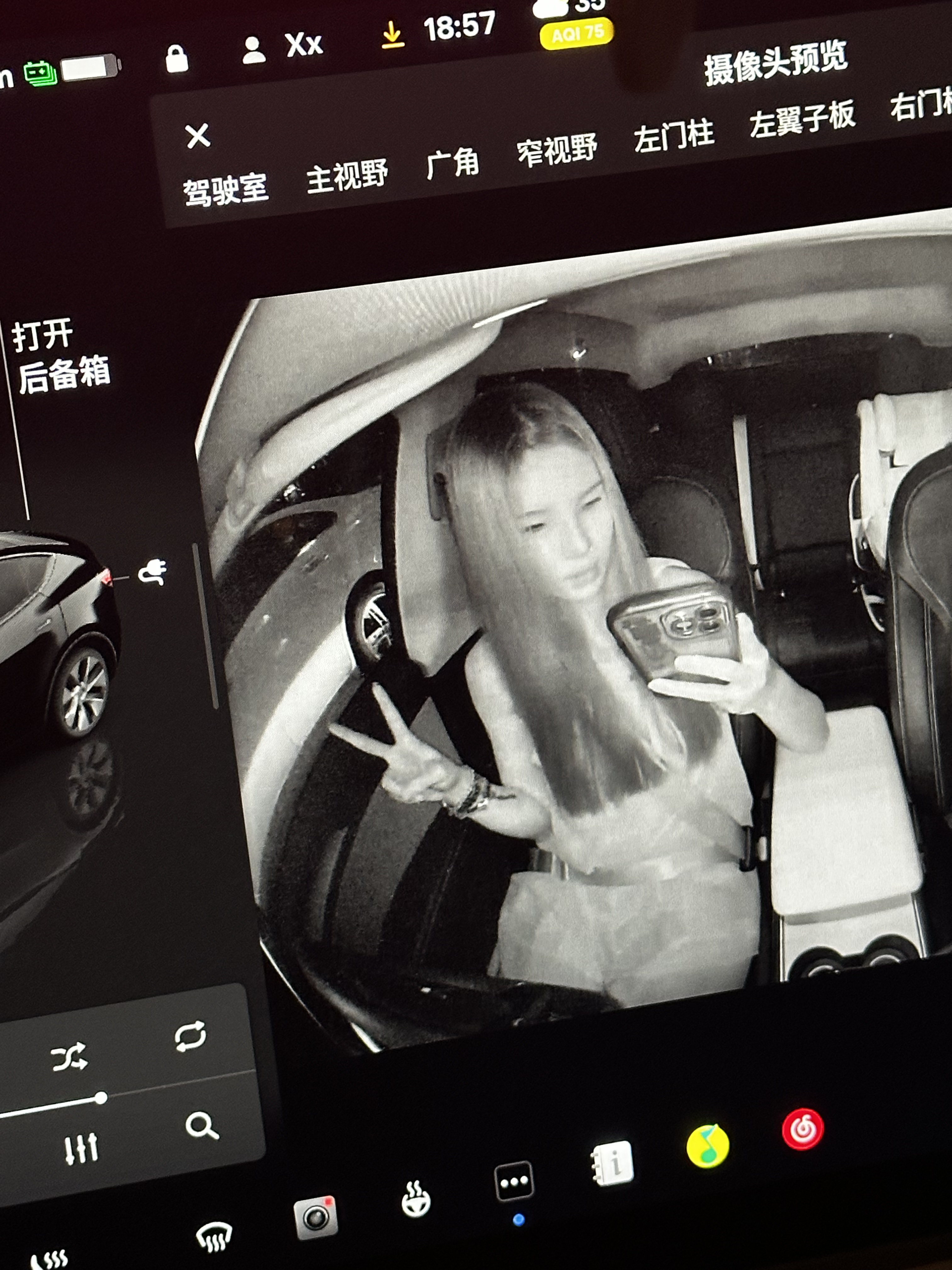 特斯拉自拍，就我是女鬼风吗 为什么我拍出来像！女！鬼！#特斯拉更新#特斯拉 @小熊娅欣