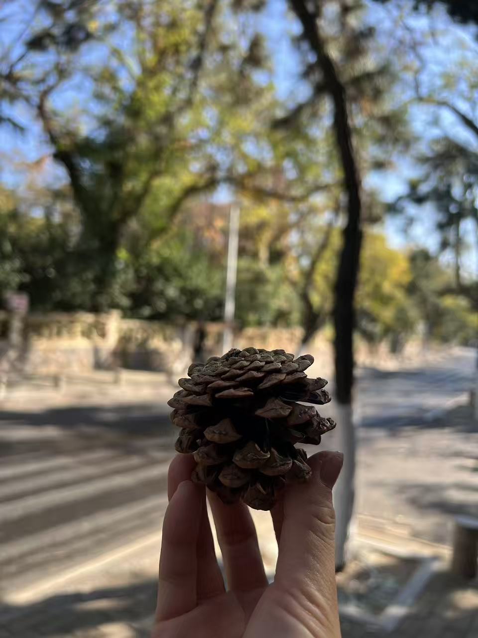 🚗💨公路旅行必备！颜值和温暖我都要！ 秋冬自驾游，开长途都要备上一大壶...
旅途幸福感蹭蹭往上涨！
	
实名夸夸这个旅行搭子的贴心设计：
	
1⃣️随手就走的提手：这个红色的小提手也太方便了吧！无论是下车拍照还是休息区接水，手指一勾就走，完全不费力。
	
2⃣️：车内c位担当，颜值清新又治愈，简直是美美的拍照📸道具。
	
3⃣️：保温给力超长待机：亲测有效！早上出门泡的热茶，到下午还是烫烫的！翻山越岭也能喝到一口热饮，这种感觉真的太幸福啦~
超大容量还可以带到户外露营可以冲热咖啡☕/奶茶水源补给。
真心推给所有爱出去玩的姐妹！有了它，漫长的公路也变成温暖的享受。
	
#特斯拉女车主 #特斯拉
#外出必备
#冬日温暖神器 #实用与颜值并存
#保温杯 #萌宠好物 #整点儿摄影节奏
#小红书RFL时尚轻单 @fafa的移动充电堡