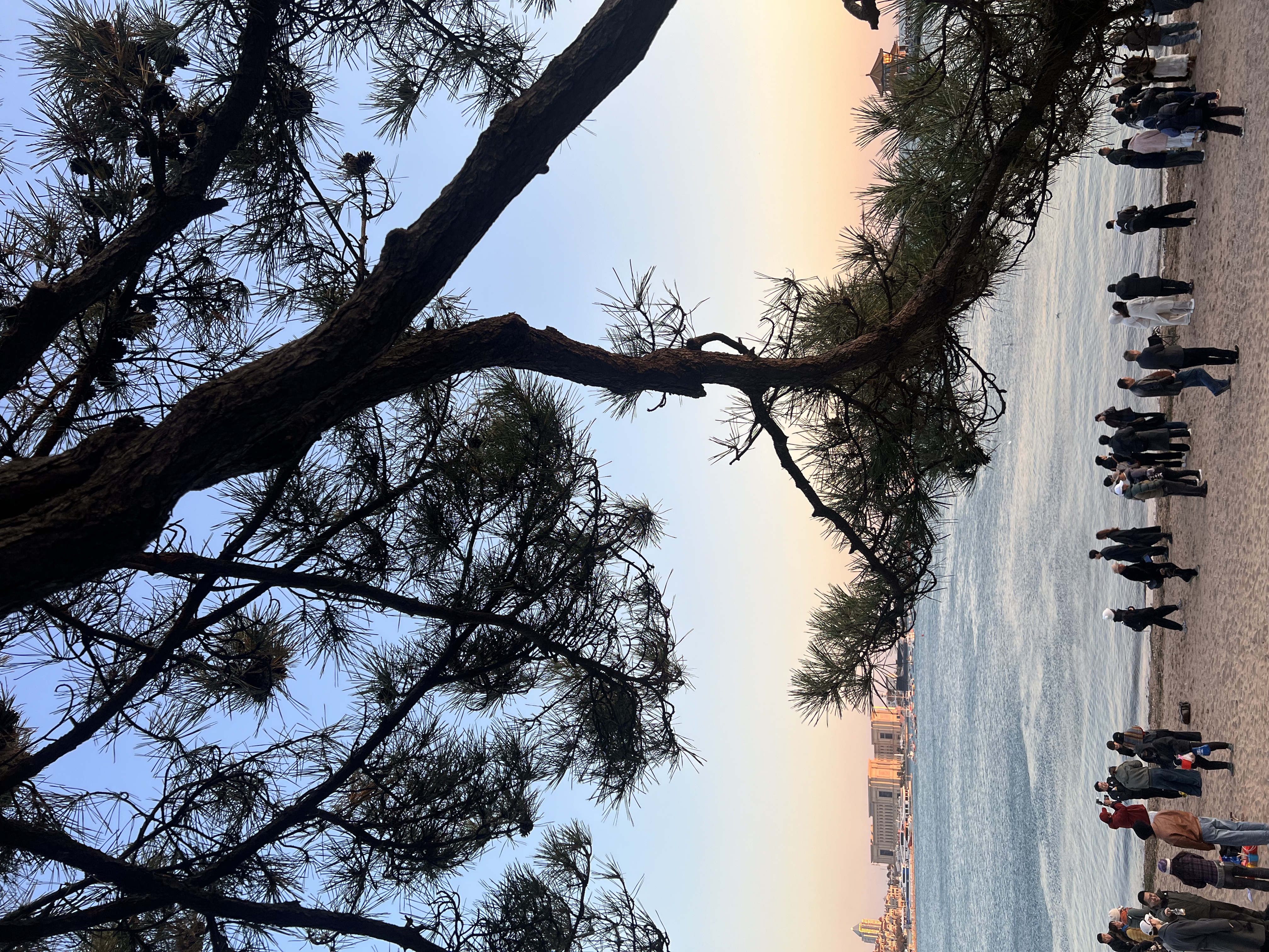 🚗💨公路旅行必备！颜值和温暖我都要！ 秋冬自驾游，开长途都要备上一大壶...
旅途幸福感蹭蹭往上涨！
	
实名夸夸这个旅行搭子的贴心设计：
	
1⃣️随手就走的提手：这个红色的小提手也太方便了吧！无论是下车拍照还是休息区接水，手指一勾就走，完全不费力。
	
2⃣️：车内c位担当，颜值清新又治愈，简直是美美的拍照📸道具。
	
3⃣️：保温给力超长待机：亲测有效！早上出门泡的热茶，到下午还是烫烫的！翻山越岭也能喝到一口热饮，这种感觉真的太幸福啦~
超大容量还可以带到户外露营可以冲热咖啡☕/奶茶水源补给。
真心推给所有爱出去玩的姐妹！有了它，漫长的公路也变成温暖的享受。
	
#特斯拉女车主 #特斯拉
#外出必备
#冬日温暖神器 #实用与颜值并存
#保温杯 #萌宠好物 #整点儿摄影节奏
#小红书RFL时尚轻单 @fafa的移动充电堡