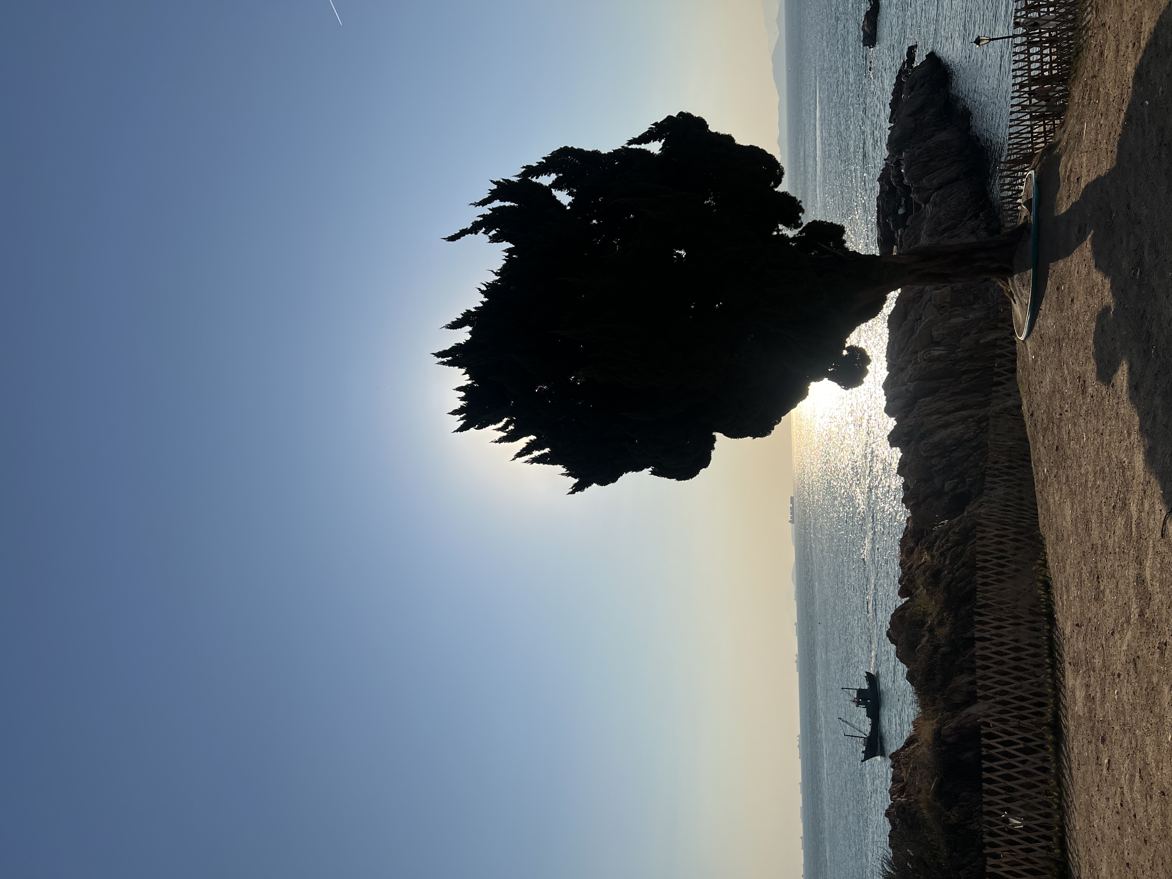 🚗💨公路旅行必备！颜值和温暖我都要！ 秋冬自驾游，开长途都要备上一大壶...
旅途幸福感蹭蹭往上涨！
	
实名夸夸这个旅行搭子的贴心设计：
	
1⃣️随手就走的提手：这个红色的小提手也太方便了吧！无论是下车拍照还是休息区接水，手指一勾就走，完全不费力。
	
2⃣️：车内c位担当，颜值清新又治愈，简直是美美的拍照📸道具。
	
3⃣️：保温给力超长待机：亲测有效！早上出门泡的热茶，到下午还是烫烫的！翻山越岭也能喝到一口热饮，这种感觉真的太幸福啦~
超大容量还可以带到户外露营可以冲热咖啡☕/奶茶水源补给。
真心推给所有爱出去玩的姐妹！有了它，漫长的公路也变成温暖的享受。
	
#特斯拉女车主 #特斯拉
#外出必备
#冬日温暖神器 #实用与颜值并存
#保温杯 #萌宠好物 #整点儿摄影节奏
#小红书RFL时尚轻单 @fafa的移动充电堡