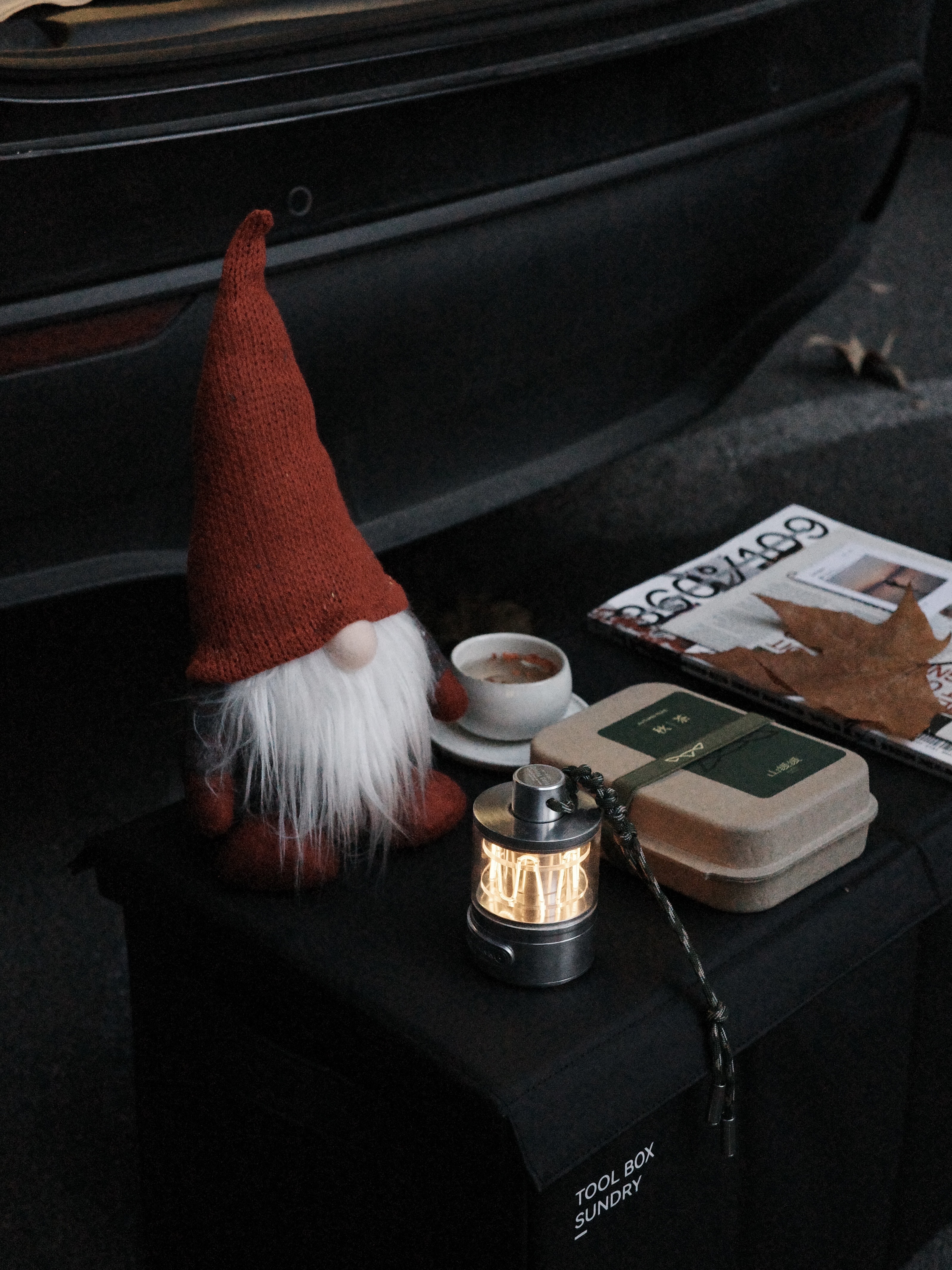 🔴𝚃𝚎𝚜𝚕𝚊｜“循环在自己的喜欢里” 梧桐叶缓缓飘落的午后，
打开后备箱——露营椅，
一杯桂花茶，一小棵圣诞树。
不多，却足够让这个十二月的缝隙透进光。
	
风穿过枝桠，
沙沙声里藏着时间的密语。
	
最简单的拥有，
往往最接近自由。
在循环的日常里，
打捞属于自己的粼粼波光。
	
#汽车博主 #特斯拉 #女生车内饰 #12月 #圣诞氛围 #圣诞树装饰 #特斯拉modely #女性成长 #碎片是生活的记录 #后备箱露营 @➰YY.