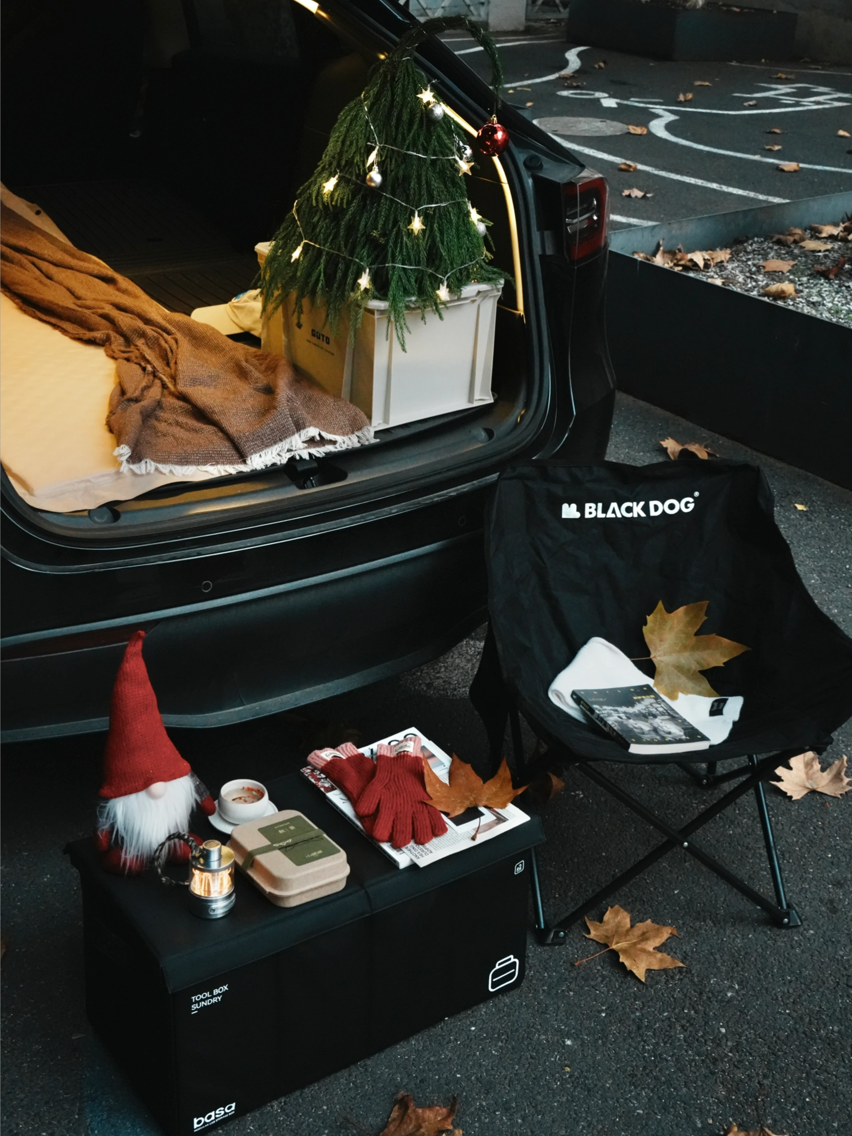 🔴𝚃𝚎𝚜𝚕𝚊｜“循环在自己的喜欢里” 梧桐叶缓缓飘落的午后，
打开后备箱——露营椅，
一杯桂花茶，一小棵圣诞树。
不多，却足够让这个十二月的缝隙透进光。
	
风穿过枝桠，
沙沙声里藏着时间的密语。
	
最简单的拥有，
往往最接近自由。
在循环的日常里，
打捞属于自己的粼粼波光。
	
#汽车博主 #特斯拉 #女生车内饰 #12月 #圣诞氛围 #圣诞树装饰 #特斯拉modely #女性成长 #碎片是生活的记录 #后备箱露营 @➰YY.