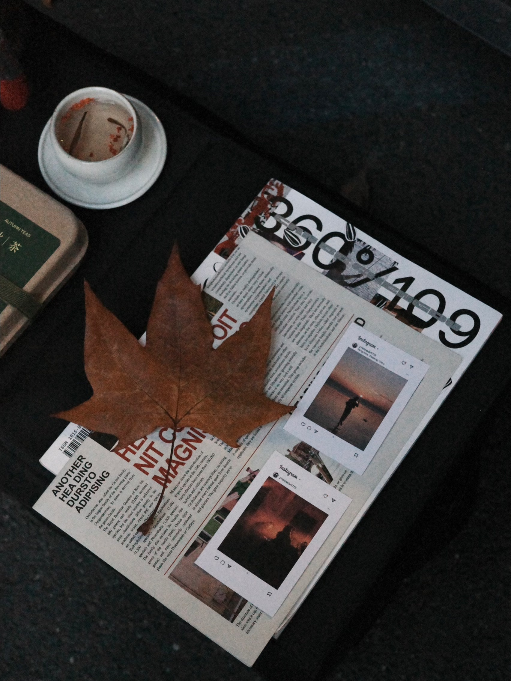 🔴𝚃𝚎𝚜𝚕𝚊｜“循环在自己的喜欢里” 梧桐叶缓缓飘落的午后，
打开后备箱——露营椅，
一杯桂花茶，一小棵圣诞树。
不多，却足够让这个十二月的缝隙透进光。
	
风穿过枝桠，
沙沙声里藏着时间的密语。
	
最简单的拥有，
往往最接近自由。
在循环的日常里，
打捞属于自己的粼粼波光。
	
#汽车博主 #特斯拉 #女生车内饰 #12月 #圣诞氛围 #圣诞树装饰 #特斯拉modely #女性成长 #碎片是生活的记录 #后备箱露营 @➰YY.