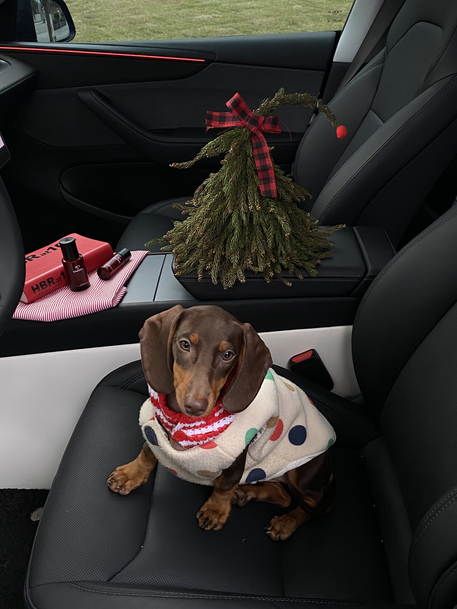 Tesla🎄｜❤️带狗子🐶体验圣诞座驾~ 圣诞的仪式感~
是和我的“小乘客”🐶在移动城堡里独享这一刻
车里暖暖的 放着《Last Christmas 》🍎
她好奇地望向窗外
对我而言 最好的圣诞礼物🎁
不是袜子🧦里的惊喜
而是副驾驶上 它毫无保留的信任与陪伴💕
愿这个冬天❄️的温暖 都由我们一同驶过~
.
圣诞树🎄是自己手工做的
打开特斯拉的圣诞模式
再用画板画些自己喜欢的图案
放一些装饰就有节日氛围啦!🥰
#新人汽车博主 #汽车博主#特斯拉女车主  #女生车里有什么 #女生副驾驶 #我的爱车日常 #定格车内氛围感 #提前被圣诞的浪漫包围 #圣诞拍照 #车内拍照 @西瓜宅车里
