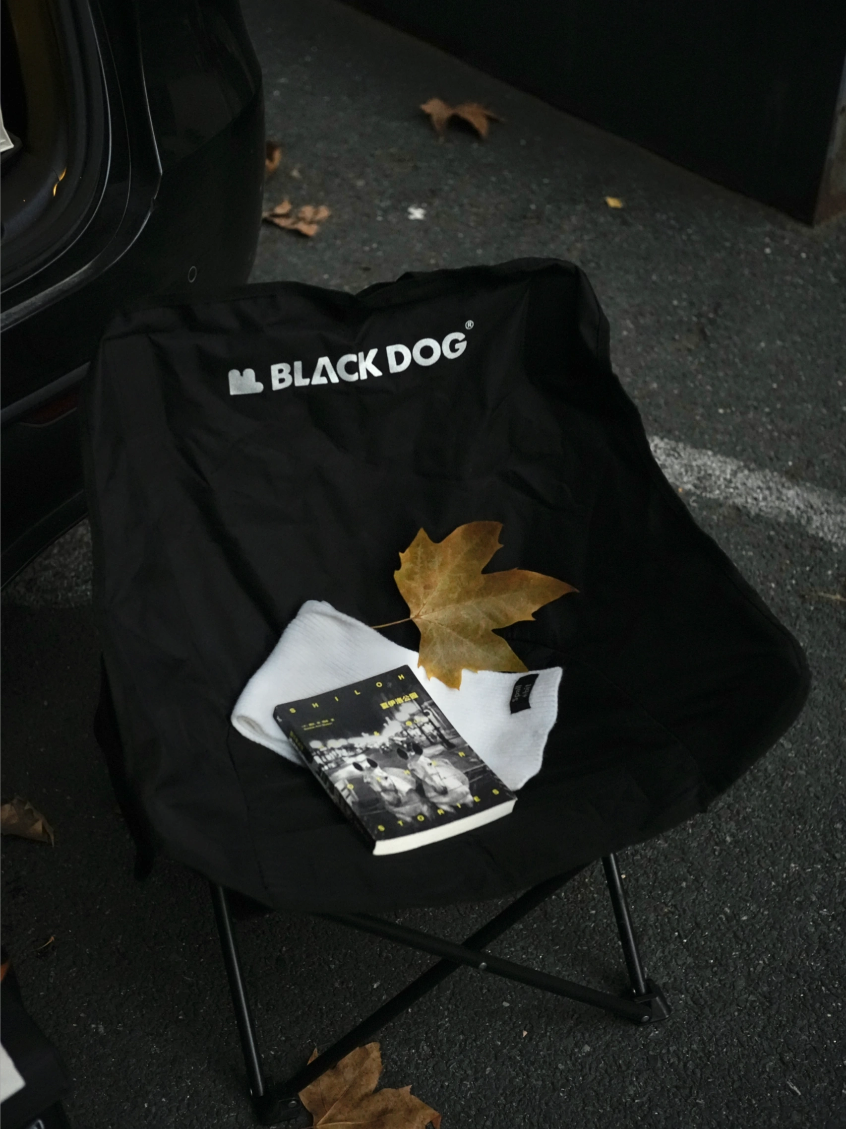 🔴𝚃𝚎𝚜𝚕𝚊｜“愿初冬的阳光洒满生活” 冬天，是个万物沉淀的季节。
世界慢下来，连光线都变得慵懒。
人却容易在这时候，
清晰地感知到幸福的存在。
	
和同事打开后备箱，摆上露营椅。
泡一壶热茶，坐在渐渐西斜的阳光里。
	
只是这样坐着，感受风轻、茶温、叶落。
	
在万物沉寂的季节里，
听见自己心里那细碎而清晰的回响。
停下来，只是感受。
	
🌿 冬天快乐，
愿你也有这样一个被阳光抚摸的午后。
	
#或许今年的冬天更值得期待 #汽车博主 #特斯拉 #女生车内饰 #特斯拉modely #后备箱露营 #汽车露营 #圣诞氛围 #风开始有冬天的味道了 #女性成长 @➰YY.