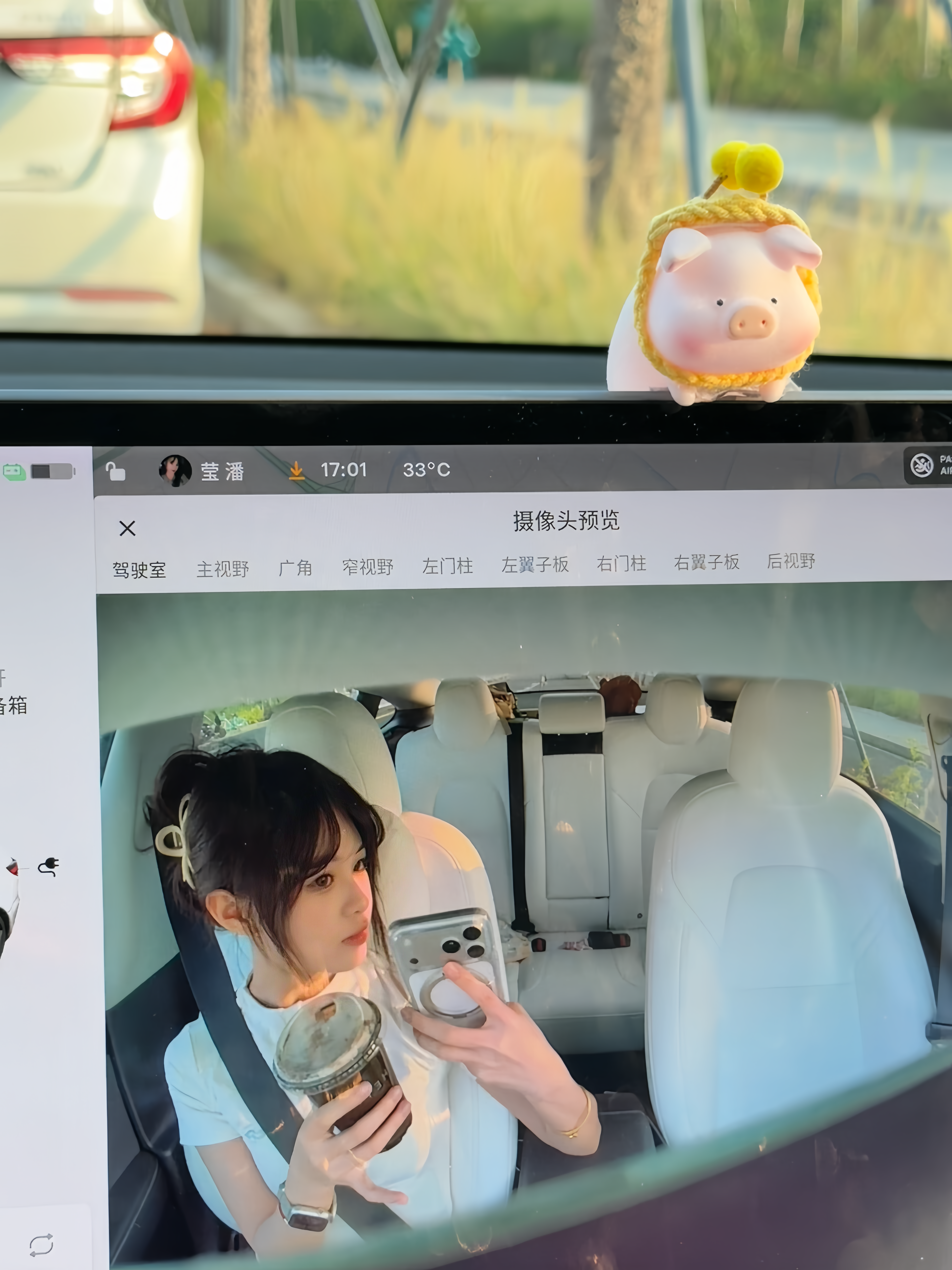 新功能也是用上了，又多了一种新拍照方式 就是拍照的话姿势得调整好hahahah#特斯拉 #车内拍照 @belief