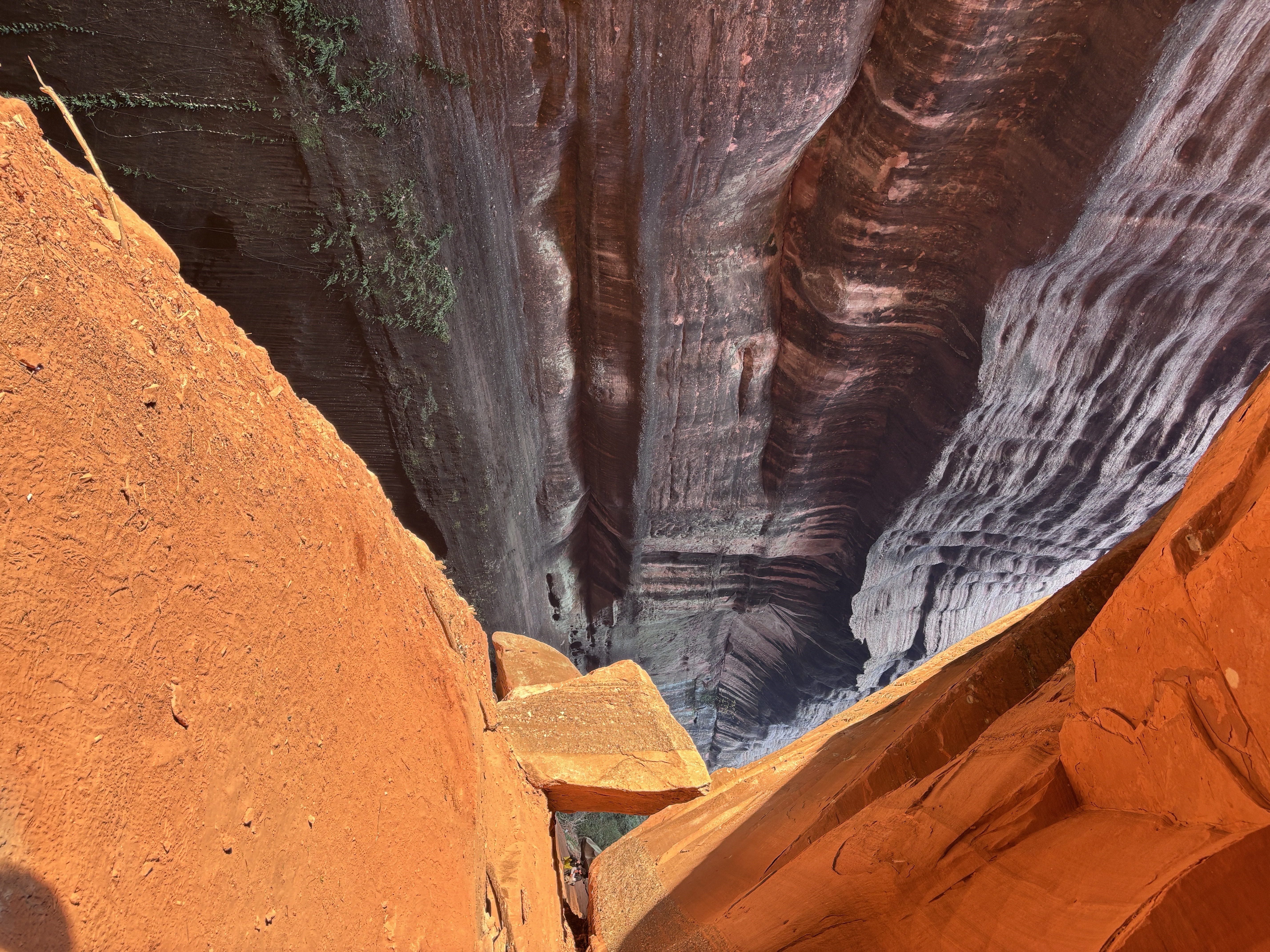 韶关野丹霞｜包出片的呀🤓 环线全程16公里，爬升700+，耗时约 8h
起点导航：韶关丹霞山龙坑农庄
	
新手友好，部分路段需要攀爬，最好带上手套和长衣长裤，大部分都有遮荫，原始森林感拉满。
👍👍👍
	
#每周一山 #爬野山乐趣 #野攀的快乐你想象不到 #徒步丈量世界 #户外徒步 #感受大自然的鬼斧神工 #爬山好去处 #丹霞山 #韶关 #户外薯 @发福仙人掌