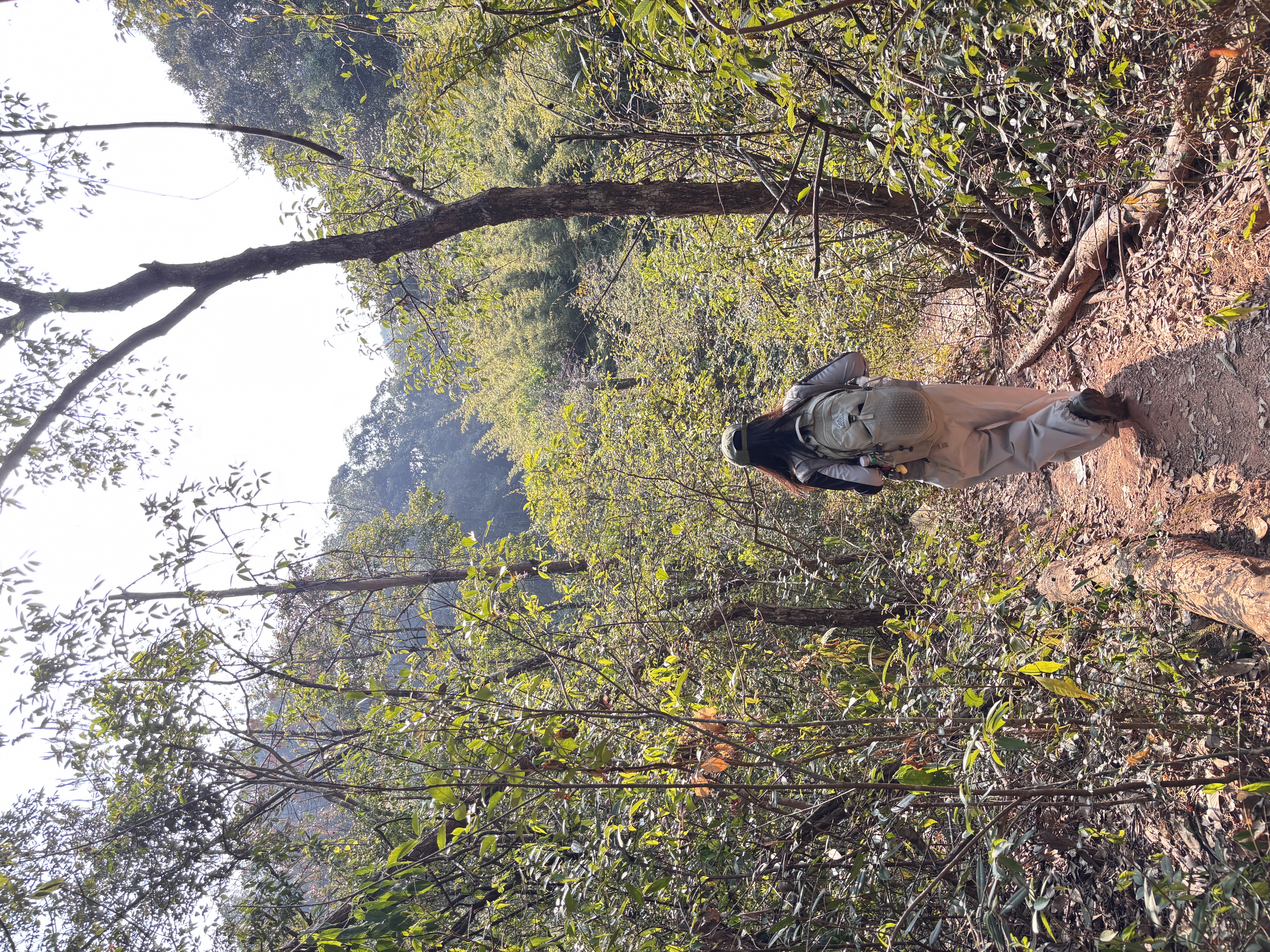 韶关野丹霞｜包出片的呀🤓 环线全程16公里，爬升700+，耗时约 8h
起点导航：韶关丹霞山龙坑农庄
	
新手友好，部分路段需要攀爬，最好带上手套和长衣长裤，大部分都有遮荫，原始森林感拉满。
👍👍👍
	
#每周一山 #爬野山乐趣 #野攀的快乐你想象不到 #徒步丈量世界 #户外徒步 #感受大自然的鬼斧神工 #爬山好去处 #丹霞山 #韶关 #户外薯 @发福仙人掌