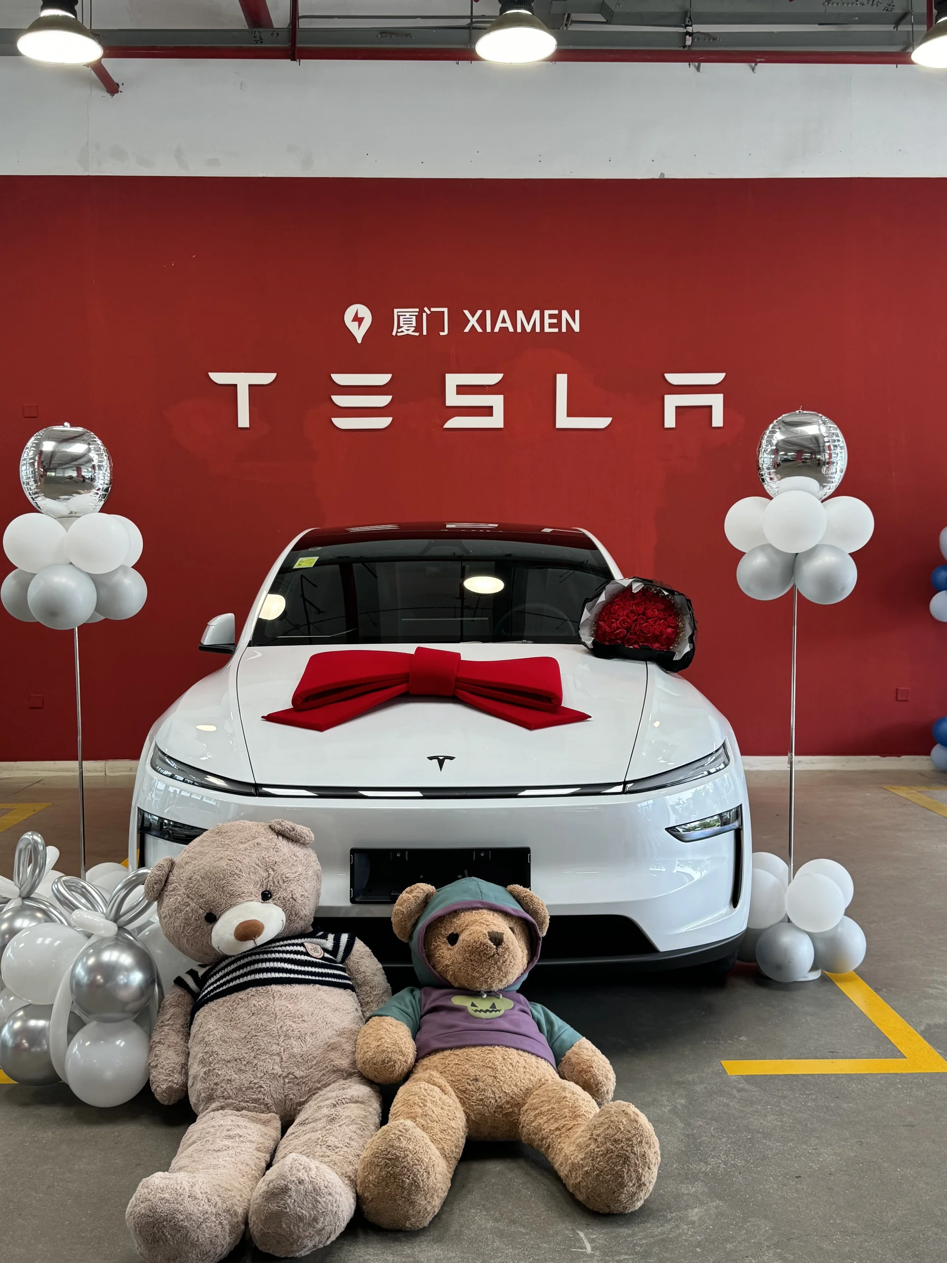 善良小毛豆上线～ #特斯拉 #提车 #提车仪式 #特斯拉Y #毛豆Y @橘子海
