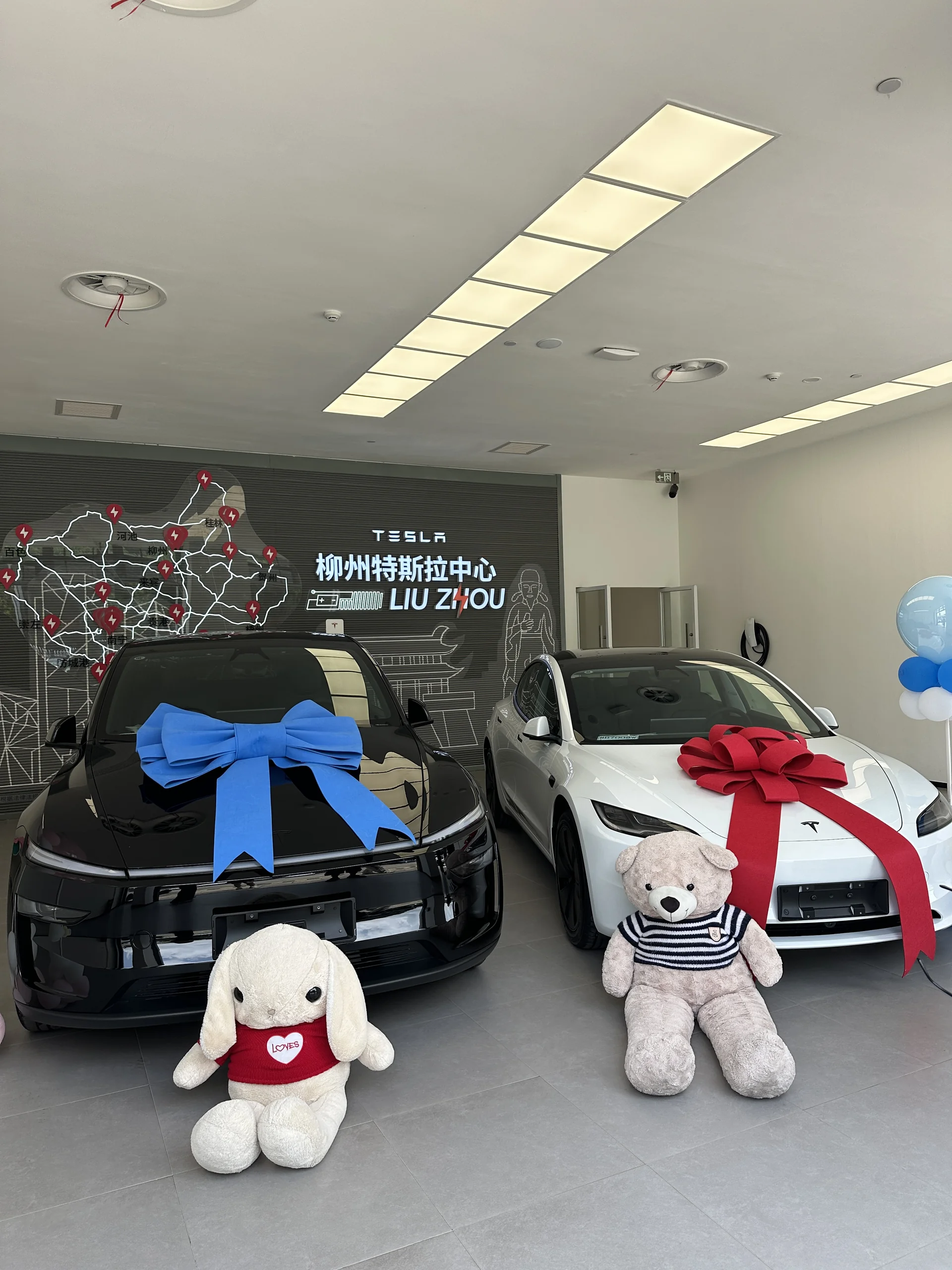 小孩才做选择 🧸 #喜提新车 #换车的尽头是电车 #我的小车车 @CC