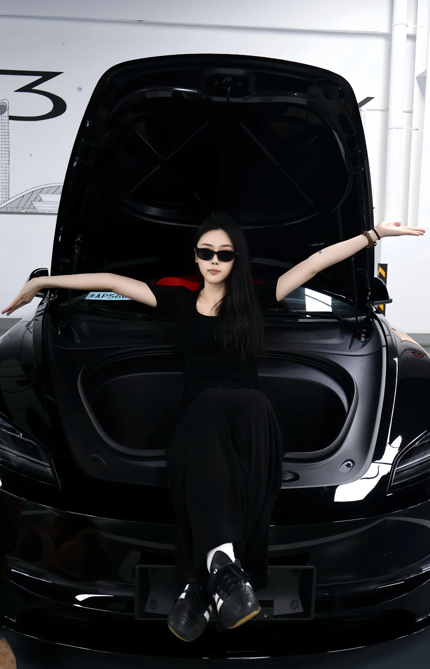 接美式男孩回家！ #特斯拉#特斯拉3 #model3 #大玩具 #提车 #提车拍照姿势 @好多肉CL